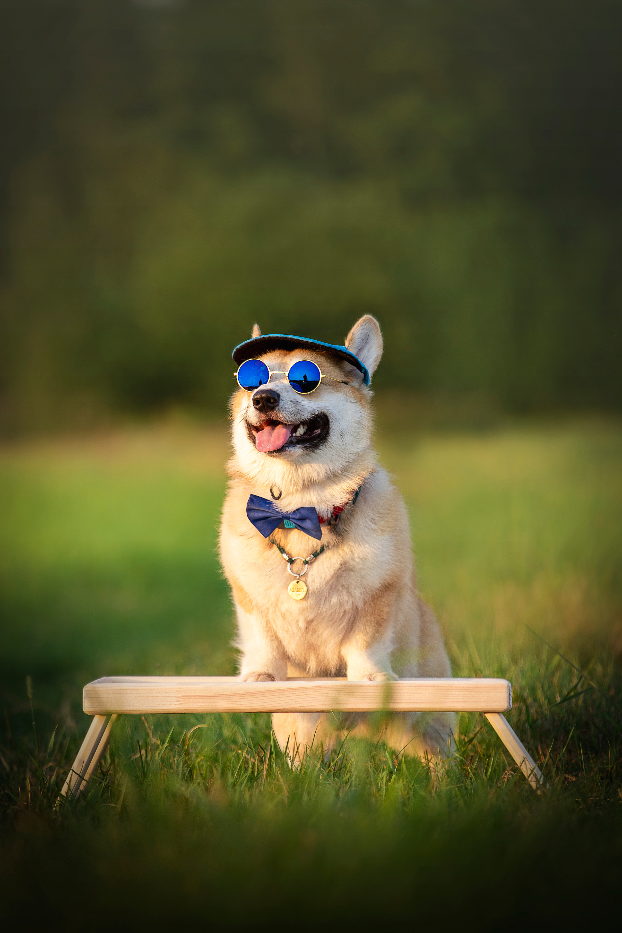 Катя и Азазель. Фотограф — Анималист | Санкт-Петербург