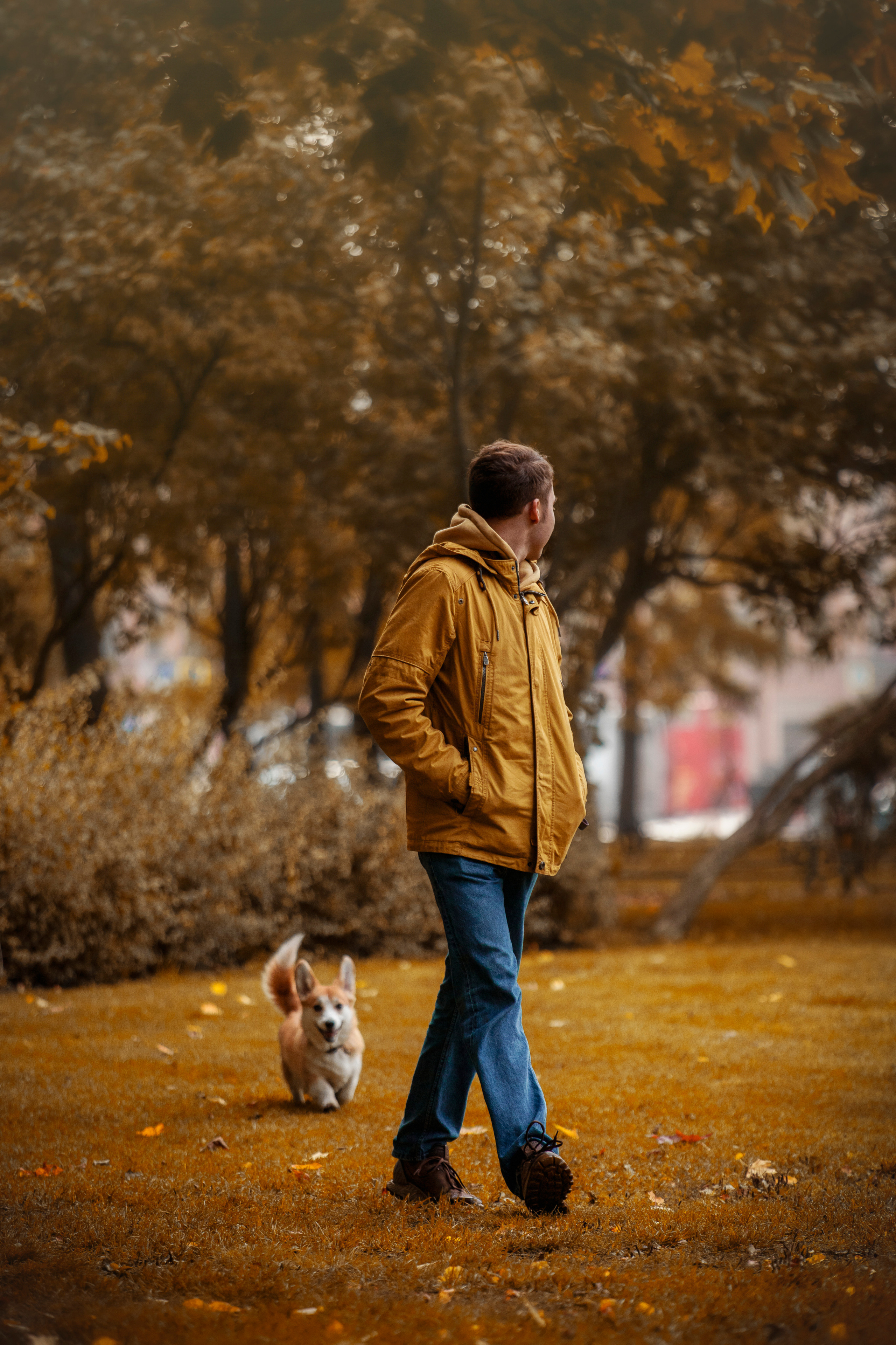 Егор и Никси. Фотограф — Анималист | Санкт-Петербург