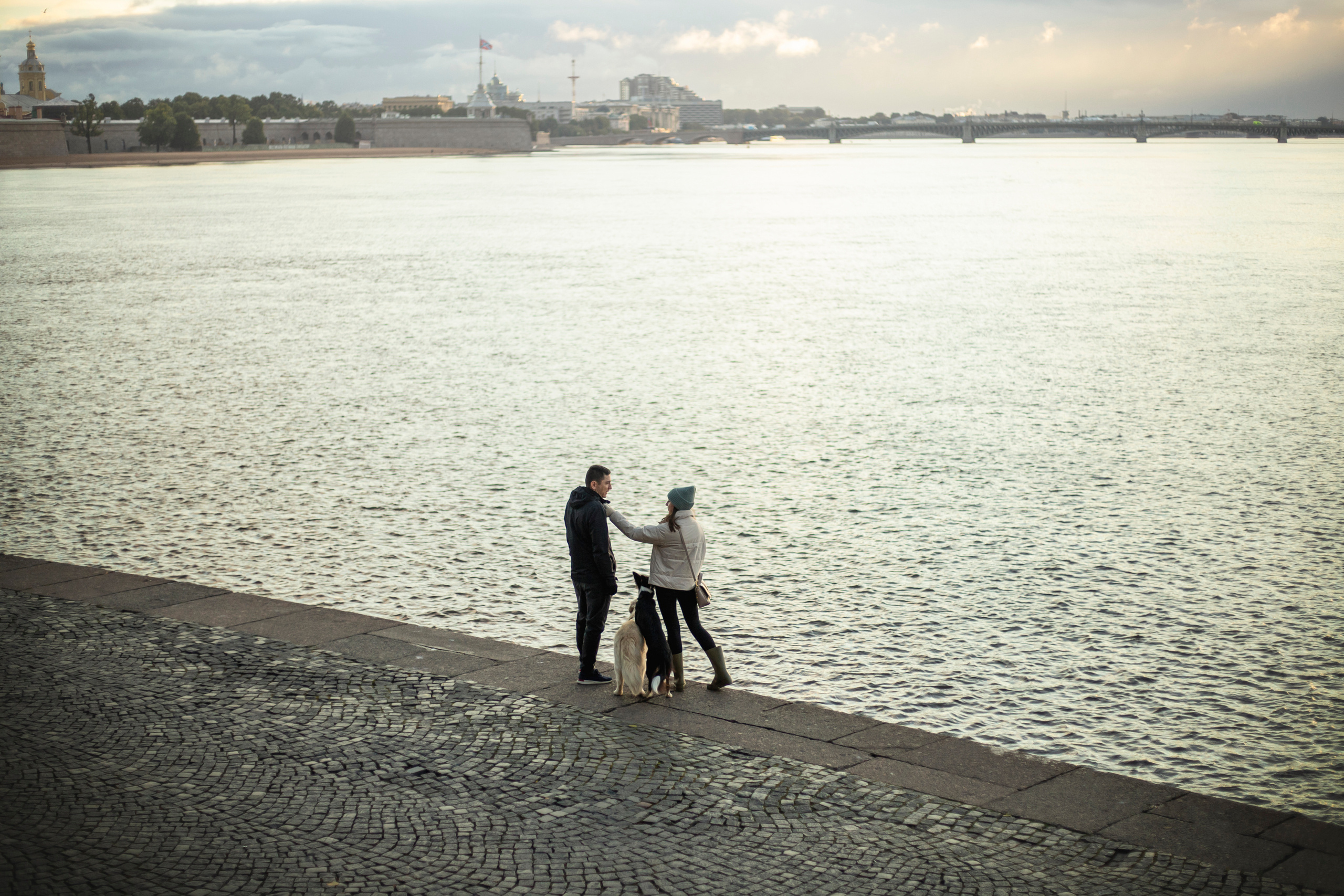 Лана, Тэгра и их семья. Фотограф — Анималист | Санкт-Петербург