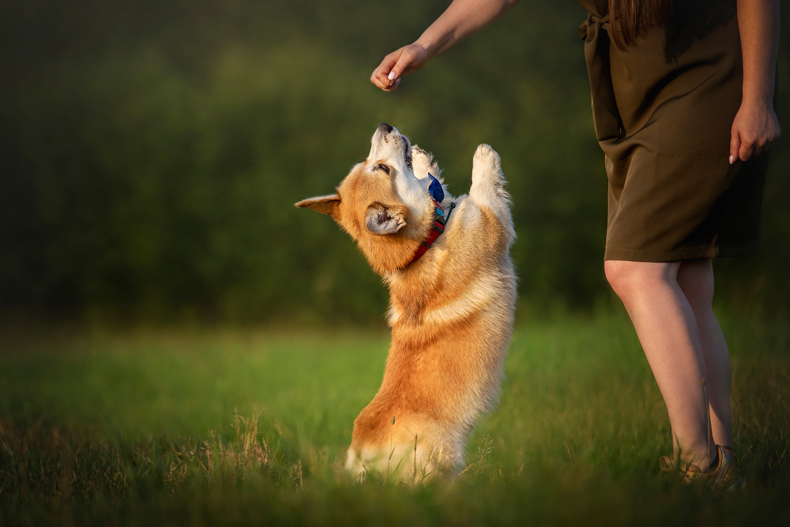 Катя и Азазель. Фотограф — Анималист | Санкт-Петербург
