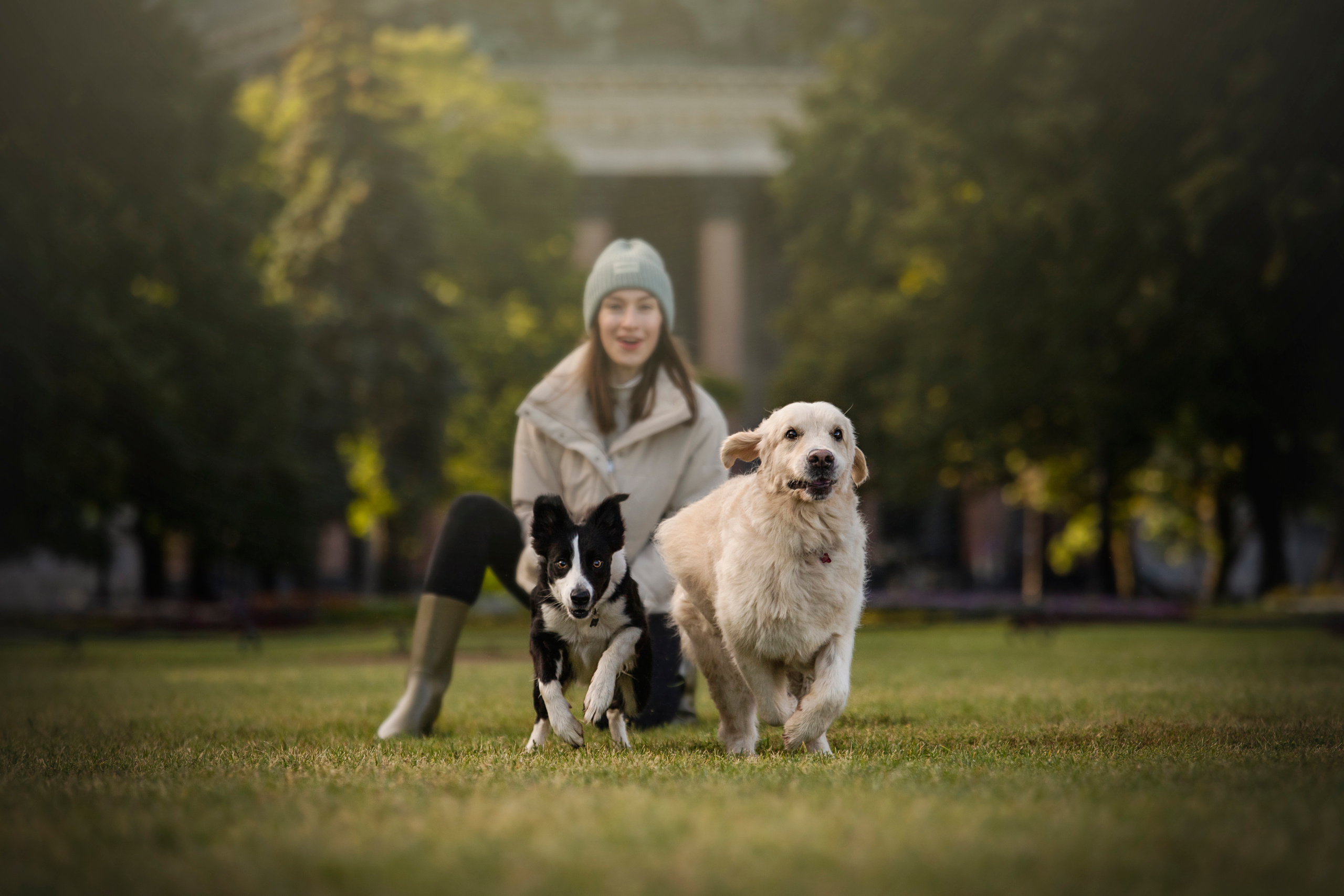 Лана, Тэгра и их семья. Фотограф — Анималист | Санкт-Петербург