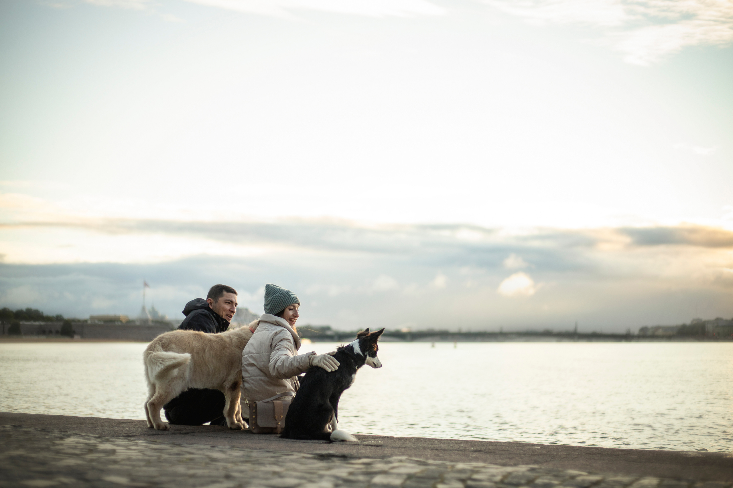 Лана, Тэгра и их семья. Фотограф — Анималист | Санкт-Петербург