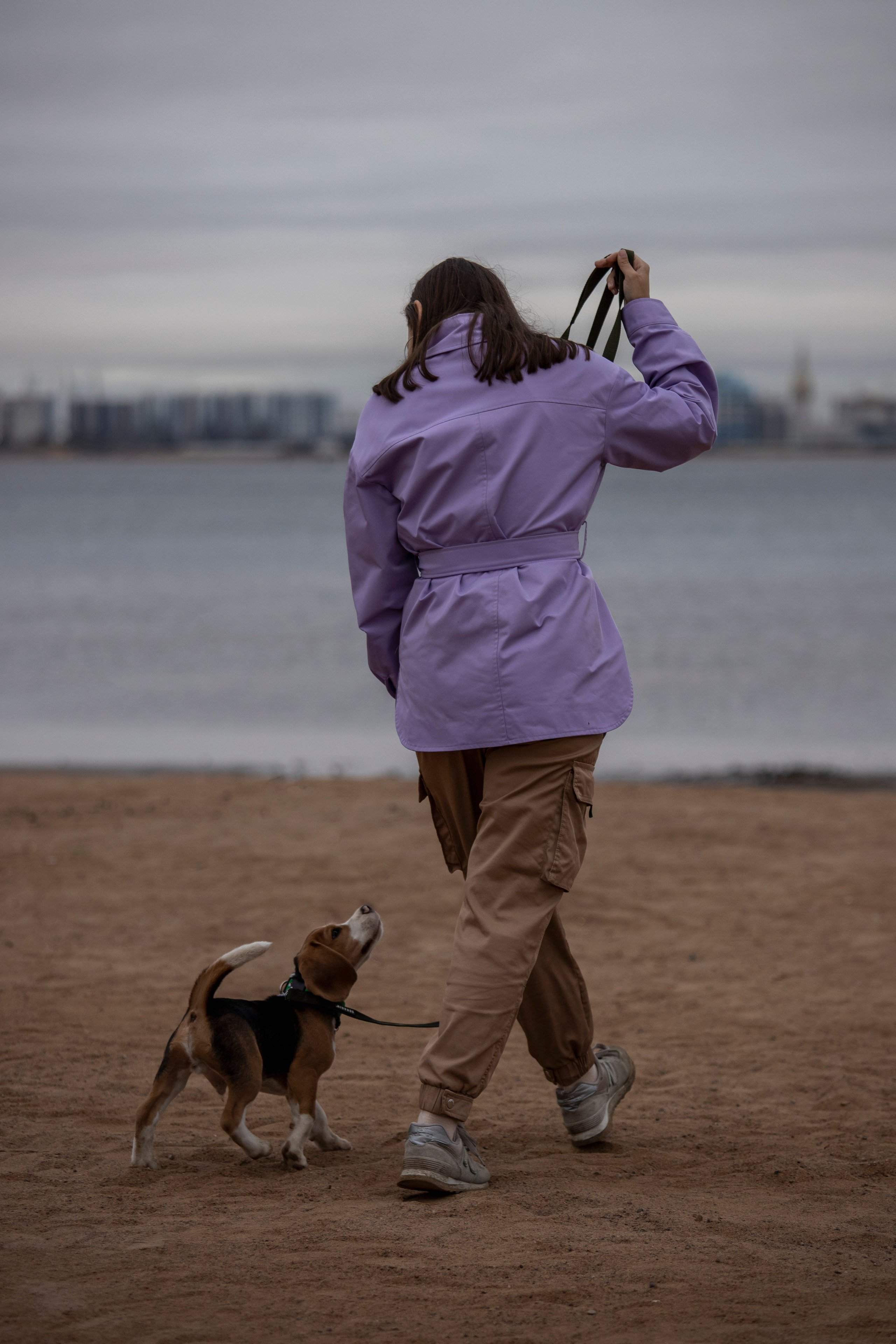 Лиза и Стич. Фотограф — Анималист | Санкт-Петербург