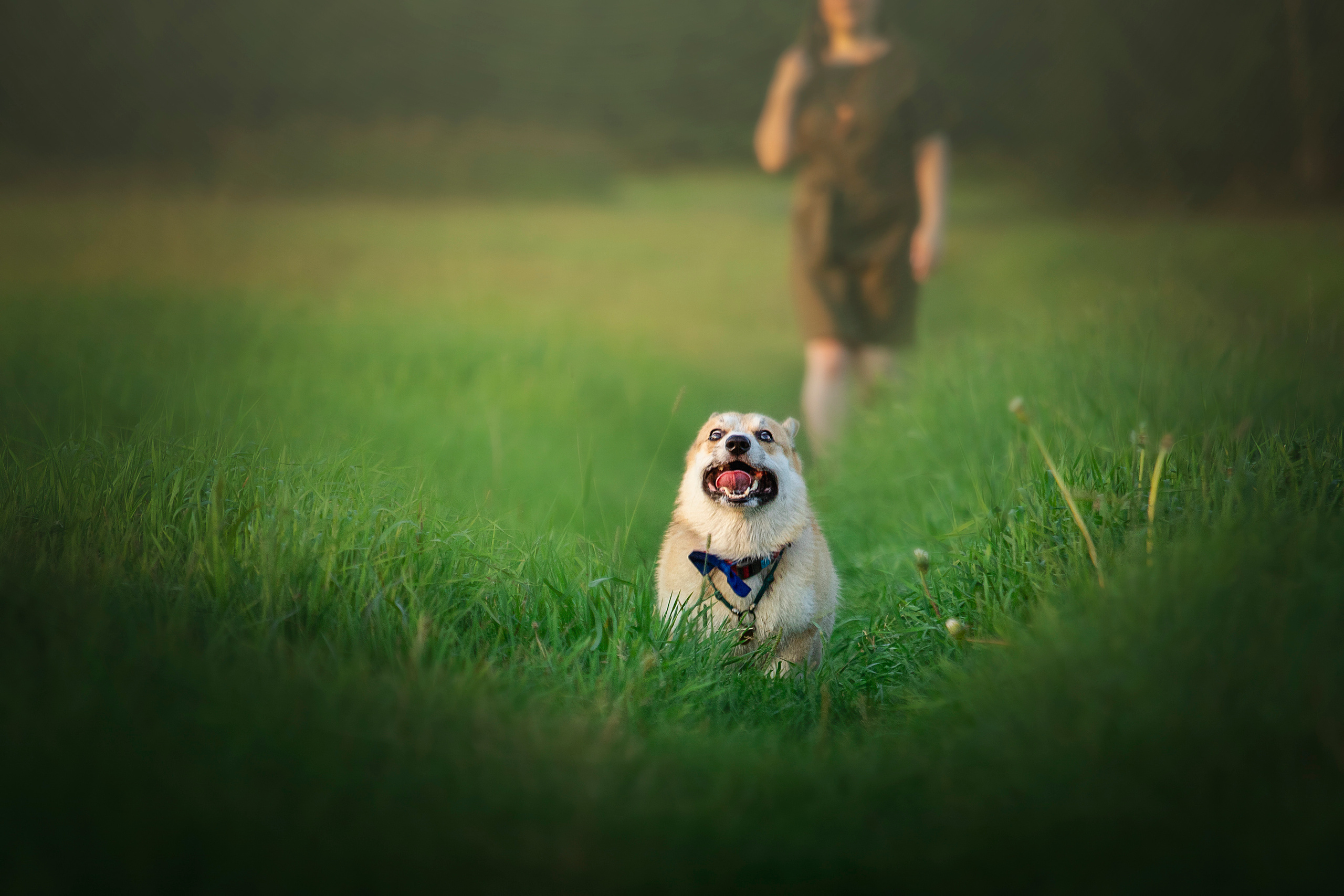 Катя и Азазель. Фотограф — Анималист | Санкт-Петербург