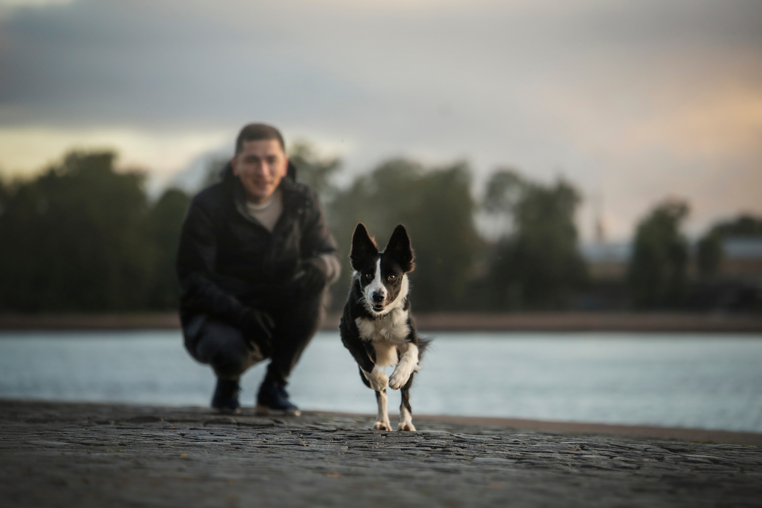 Лана, Тэгра и их семья. Фотограф — Анималист | Санкт-Петербург