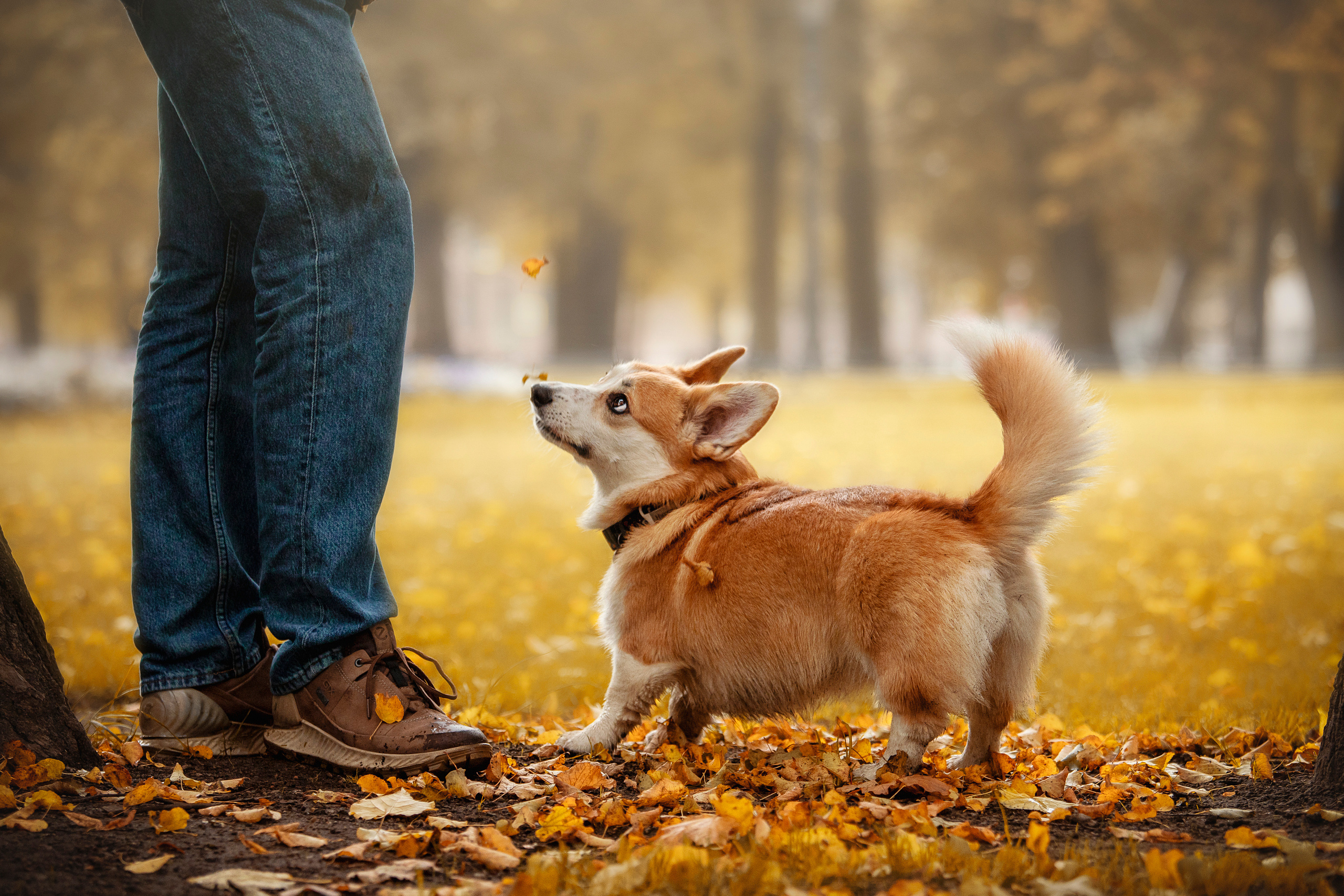 Егор и Никси. Фотограф — Анималист | Санкт-Петербург