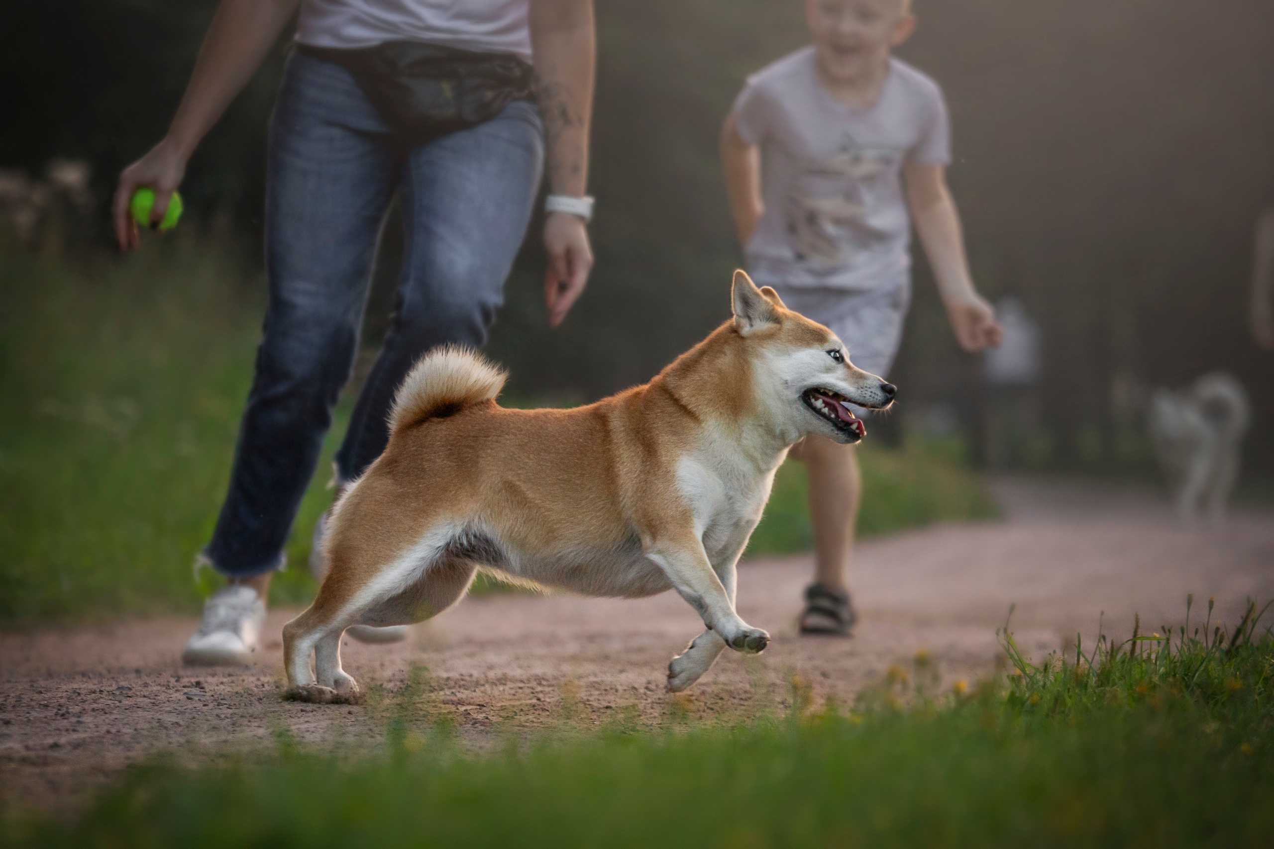 Саша и Айка. Фотограф — Анималист | Санкт-Петербург