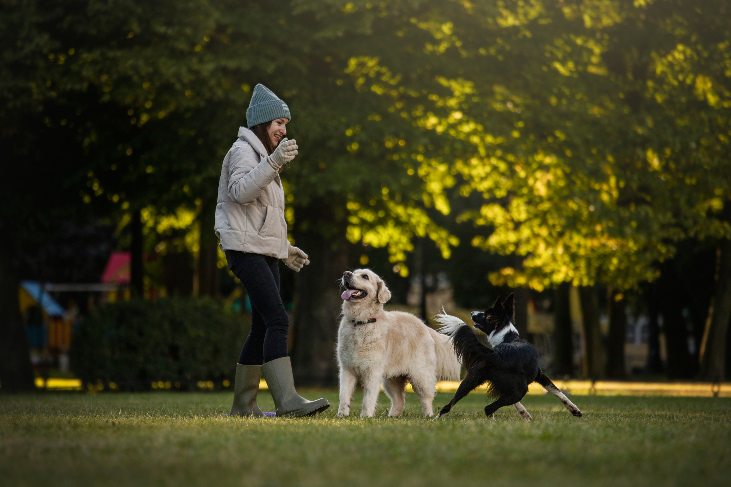 Лана, Тэгра и их семья. Фотограф — Анималист | Санкт-Петербург