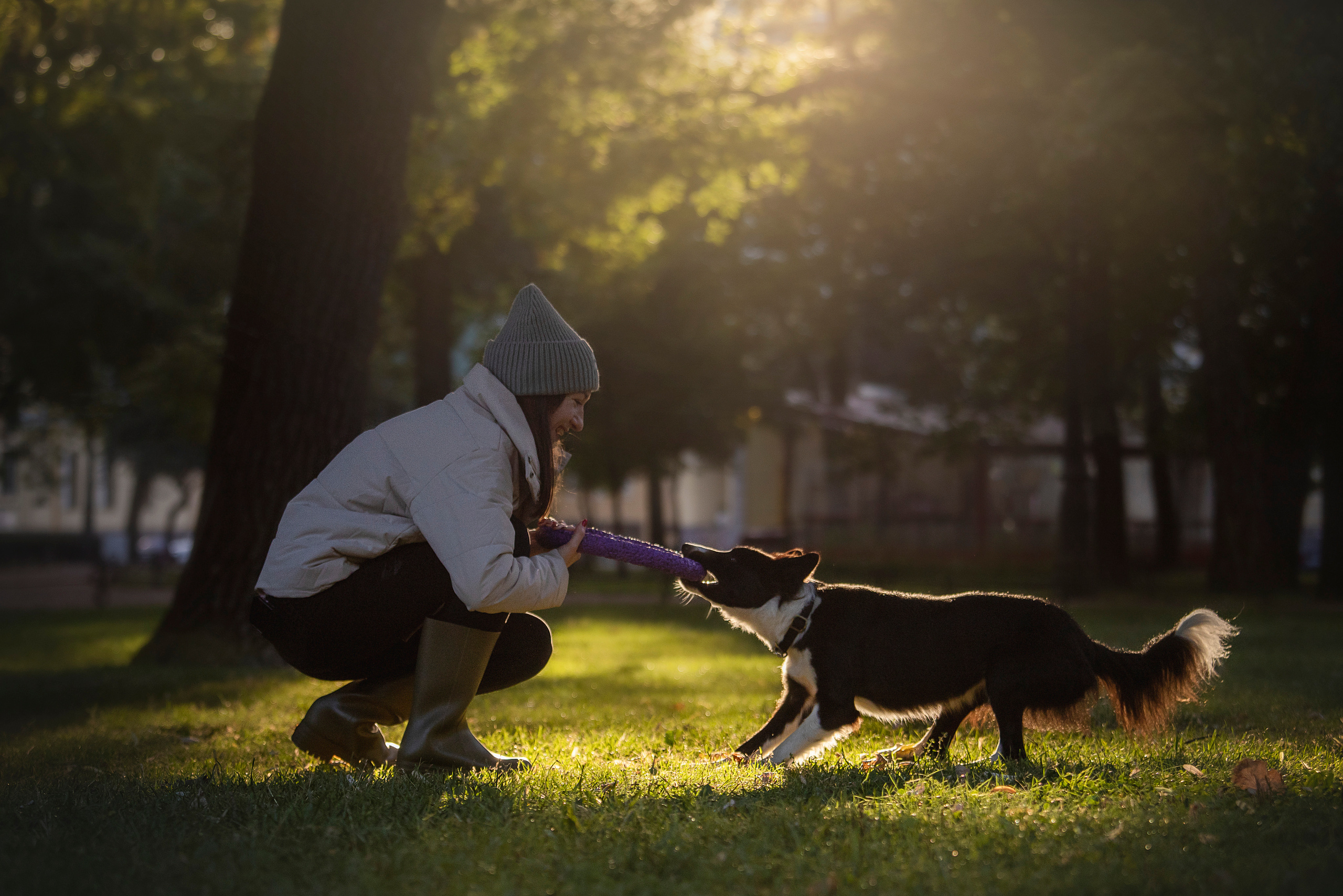 Лана, Тэгра и их семья. Фотограф — Анималист | Санкт-Петербург