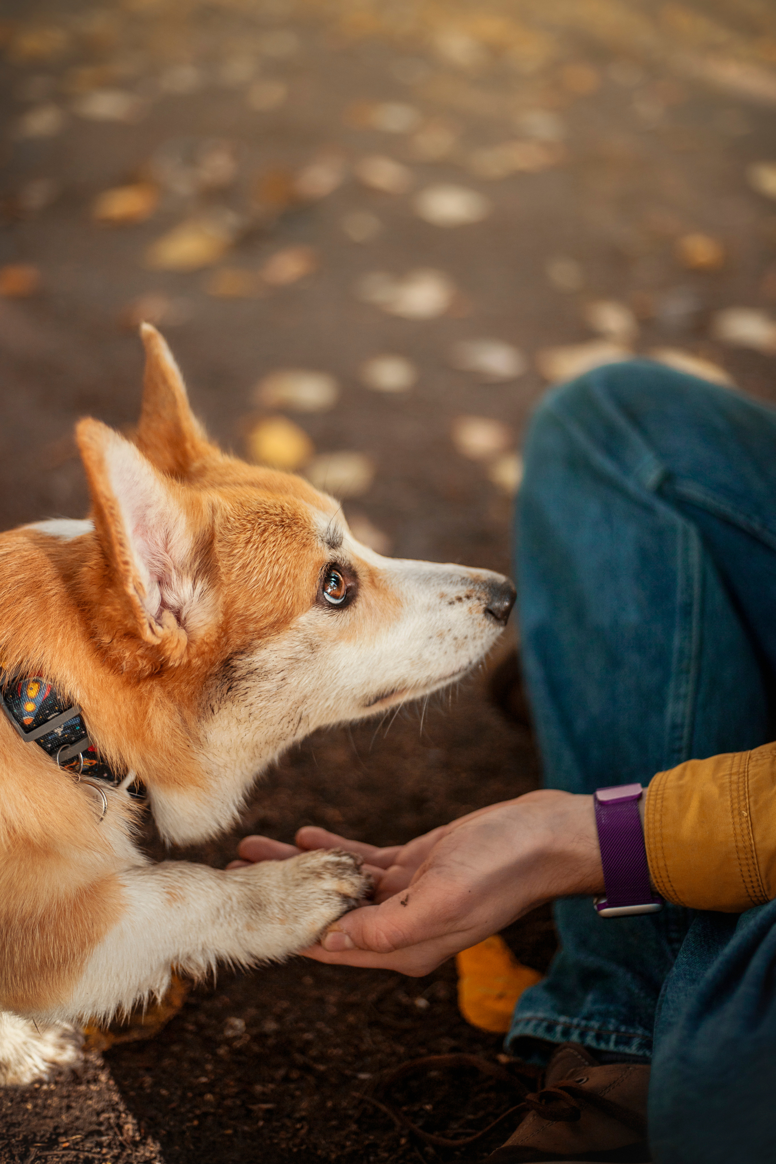 Егор и Никси. Фотограф — Анималист | Санкт-Петербург