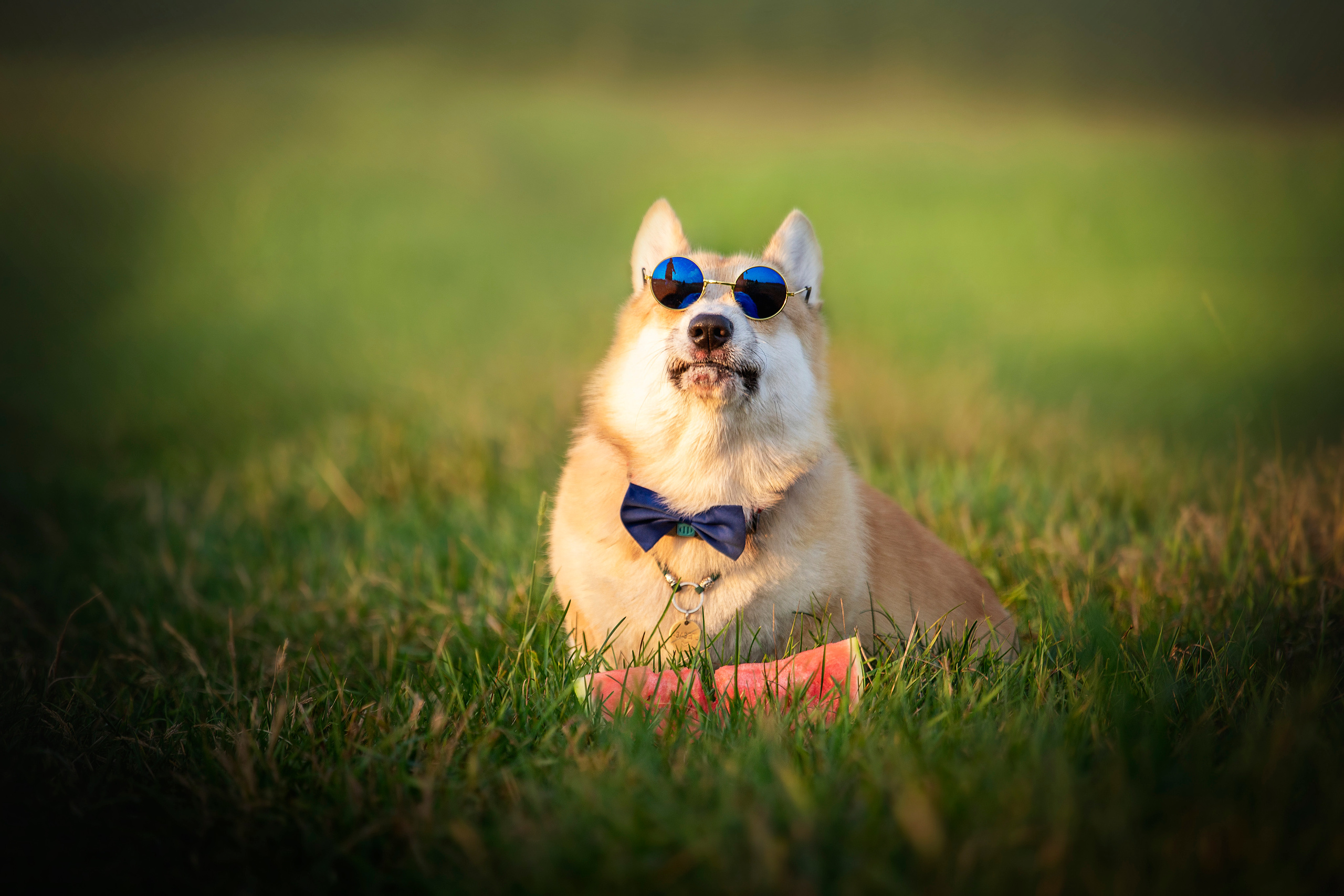 Катя и Азазель. Фотограф — Анималист | Санкт-Петербург