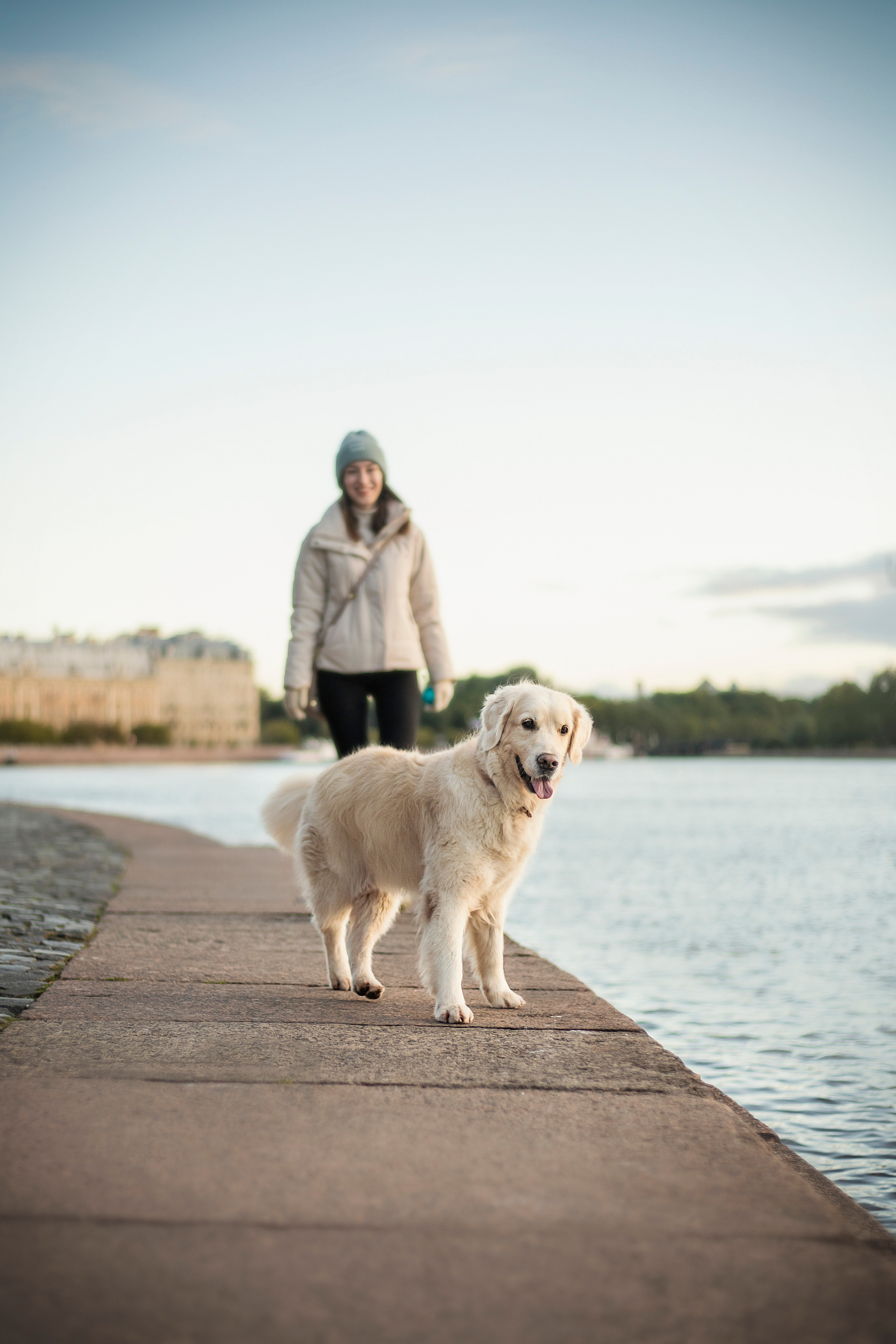 Лана, Тэгра и их семья. Фотограф — Анималист | Санкт-Петербург
