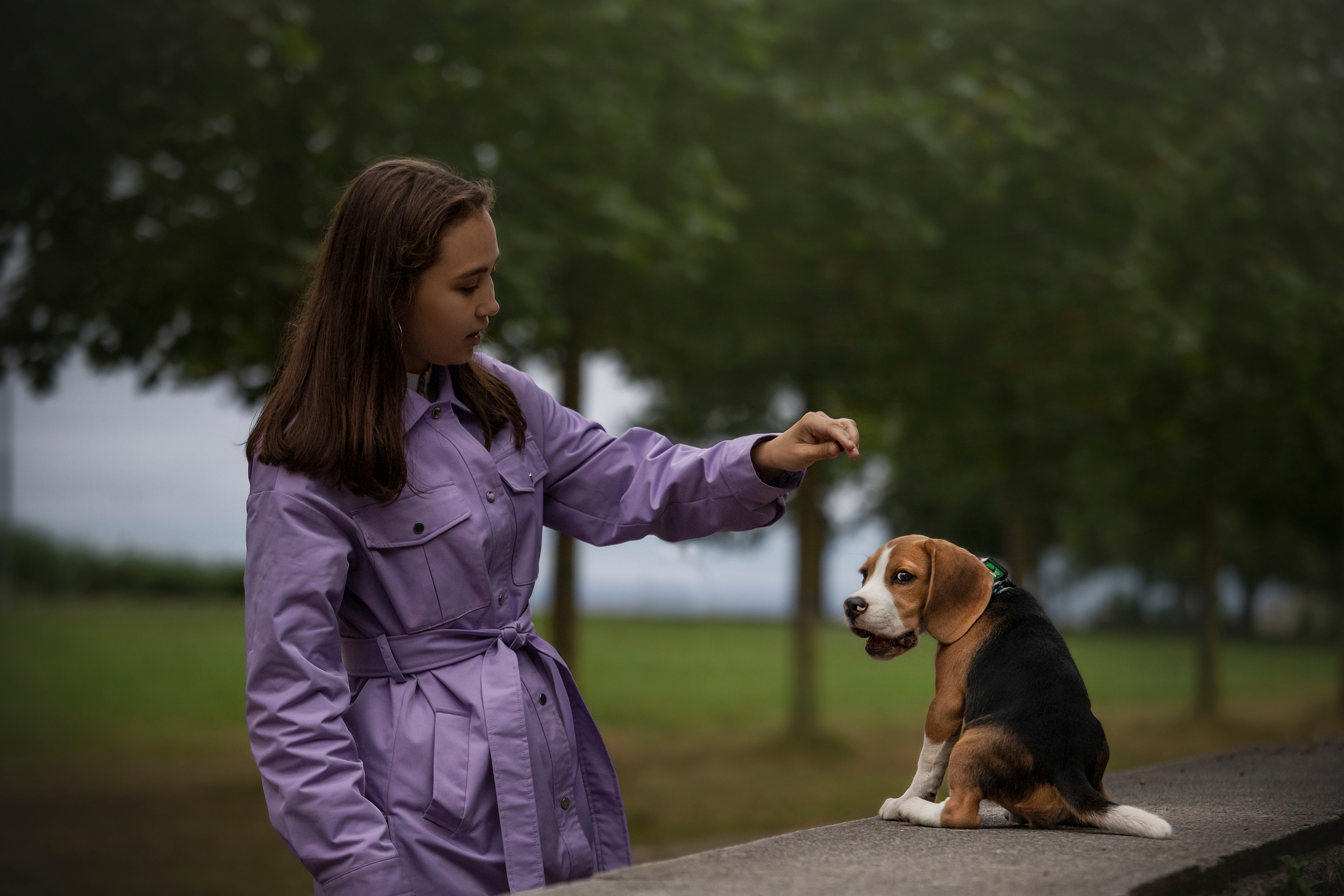Лиза и Стич. Фотограф — Анималист | Санкт-Петербург
