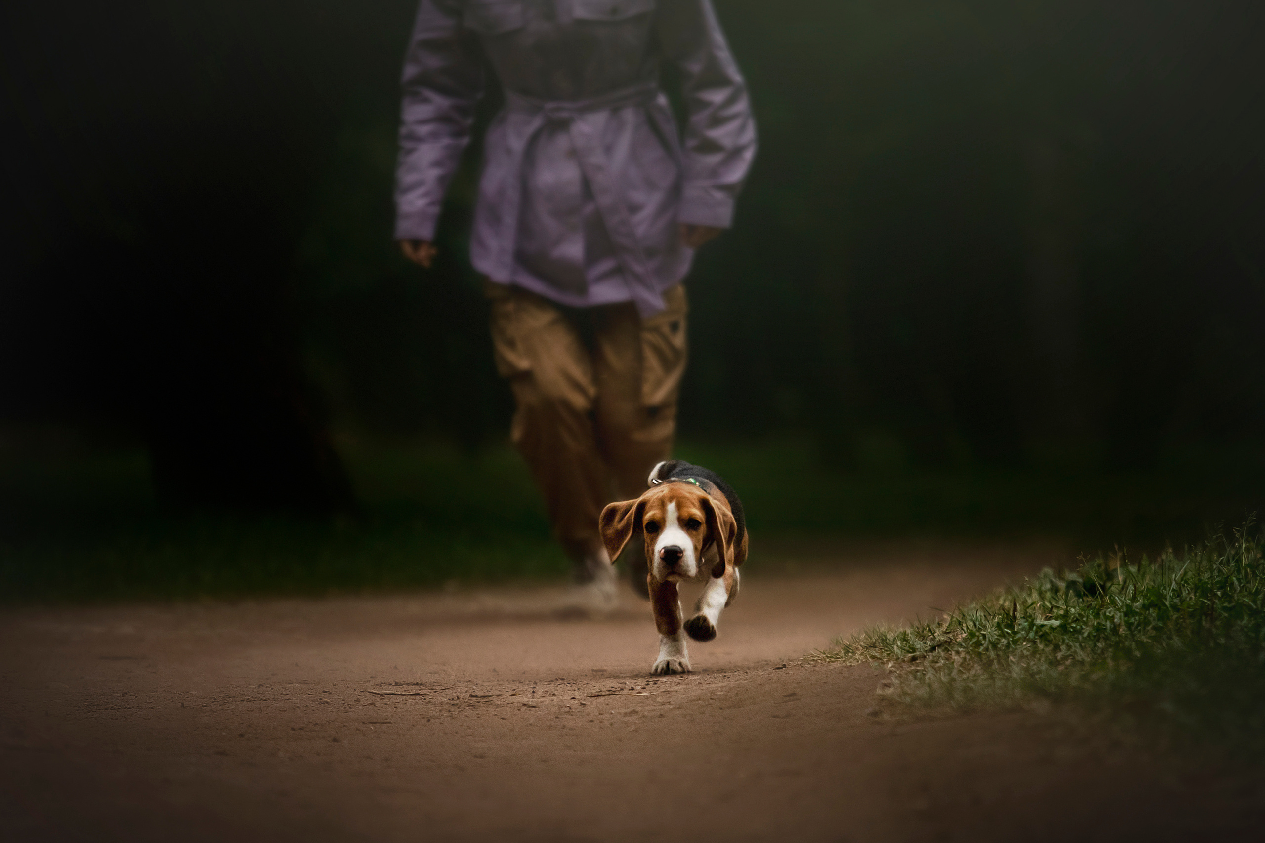 Лиза и Стич. Фотограф — Анималист | Санкт-Петербург