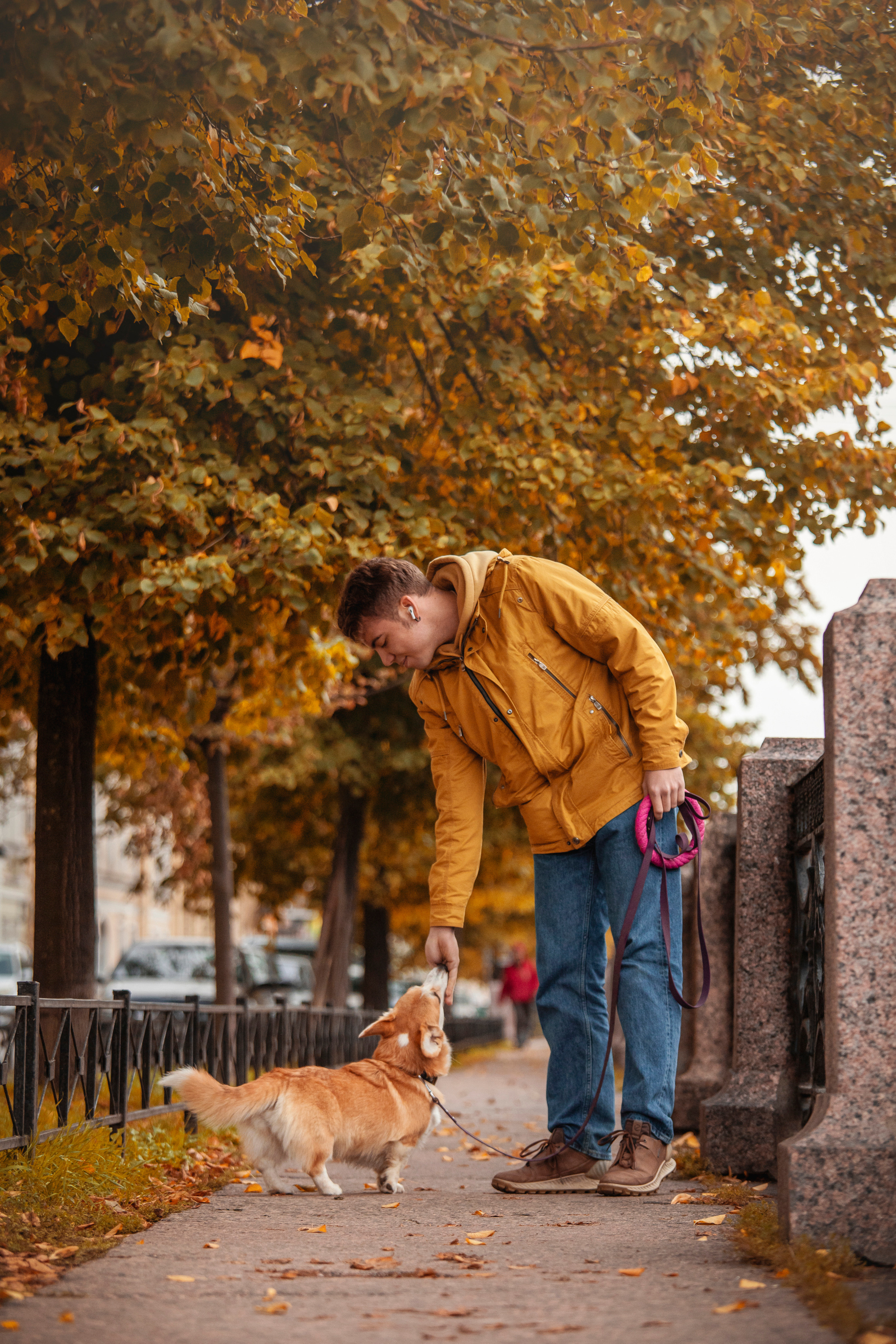 Егор и Никси. Фотограф — Анималист | Санкт-Петербург