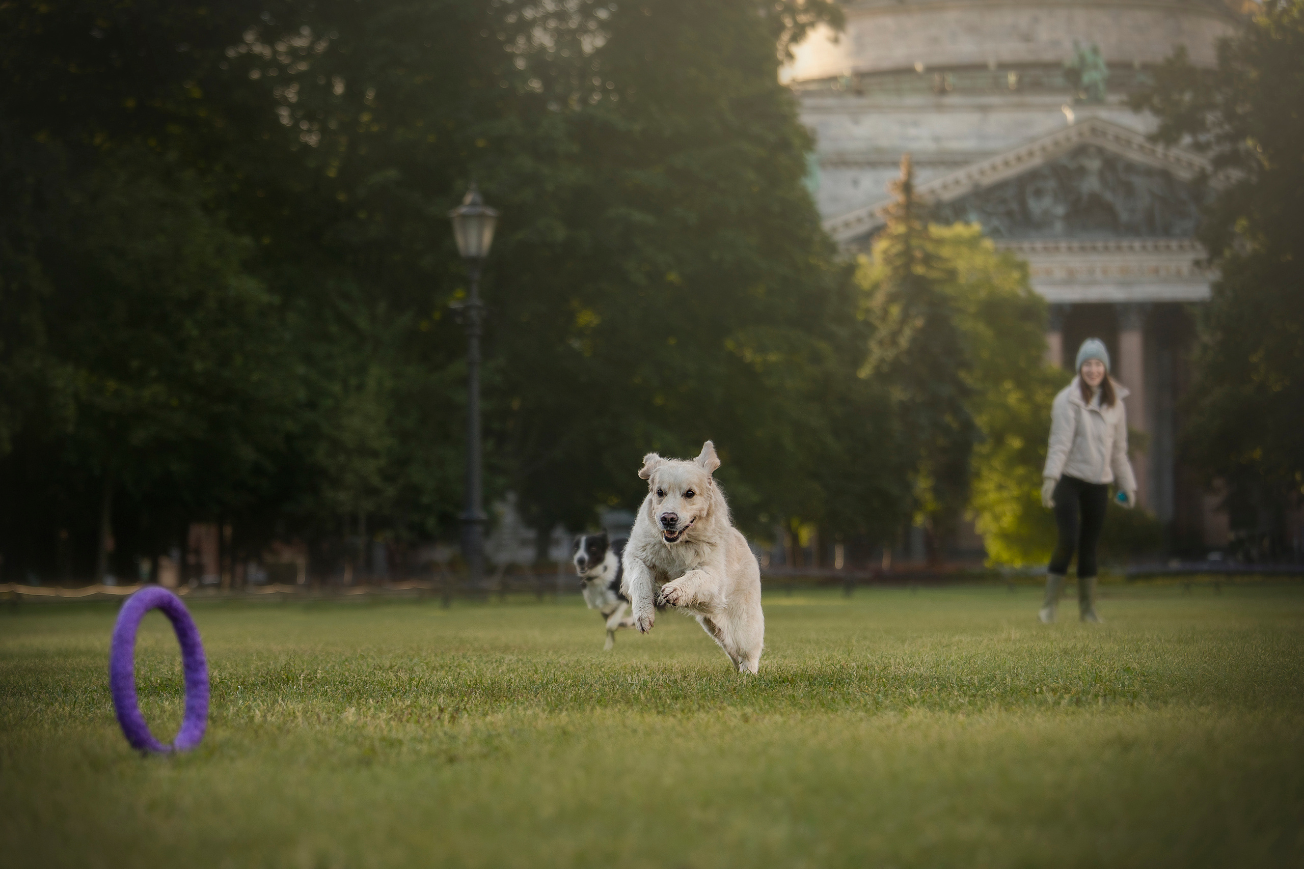 Лана, Тэгра и их семья. Фотограф — Анималист | Санкт-Петербург