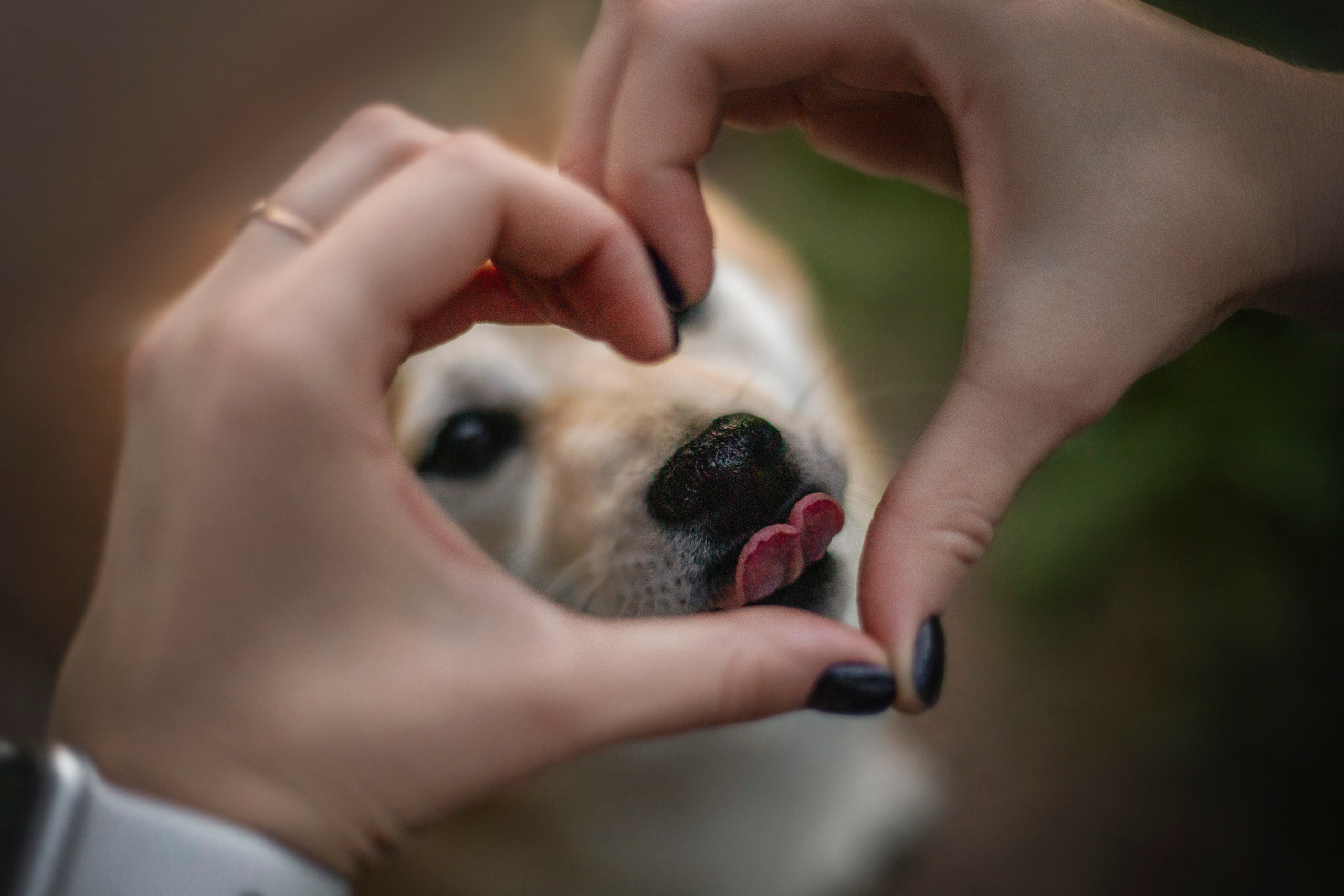 Саша и Айка. Фотограф — Анималист | Санкт-Петербург