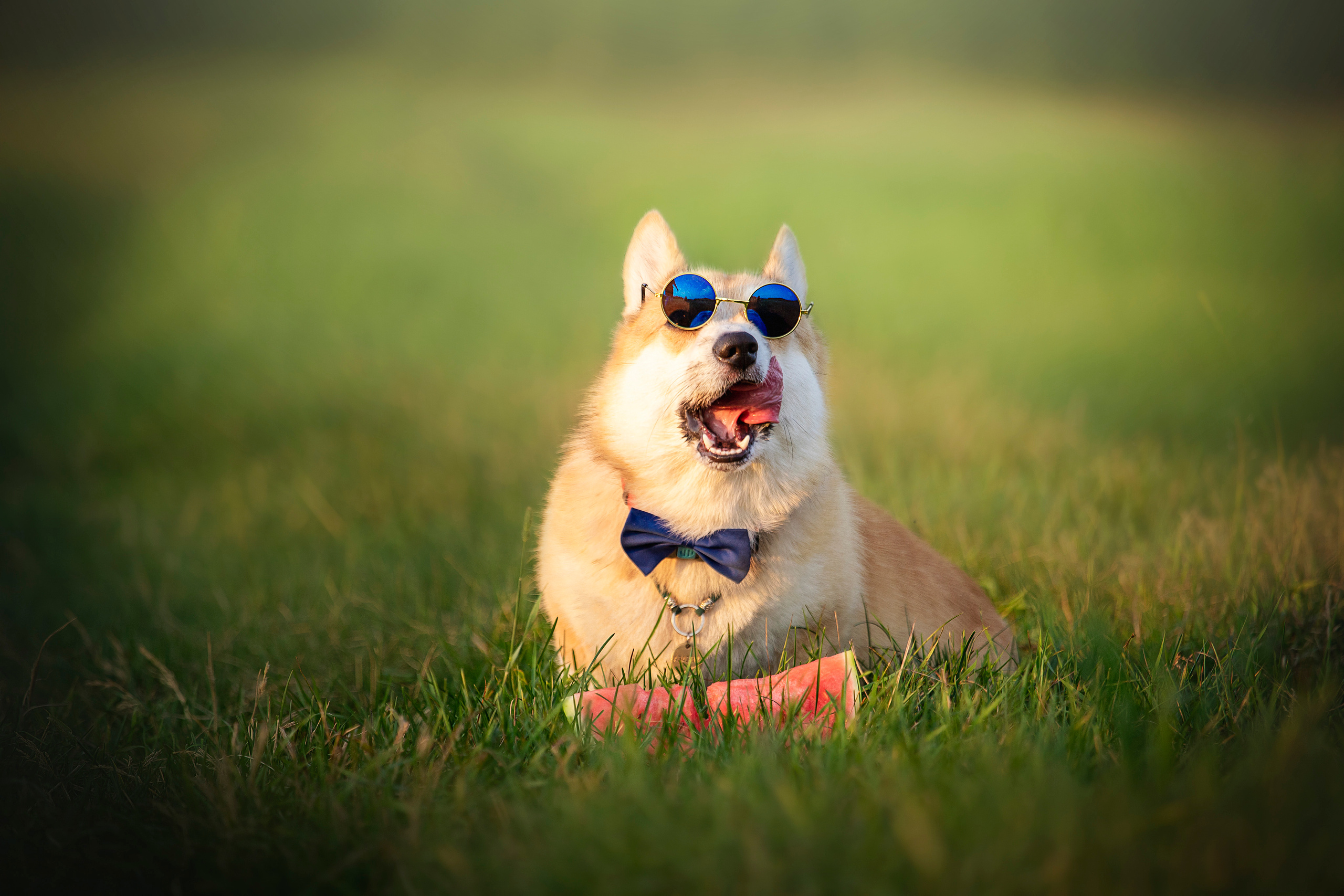 Катя и Азазель. Фотограф — Анималист | Санкт-Петербург