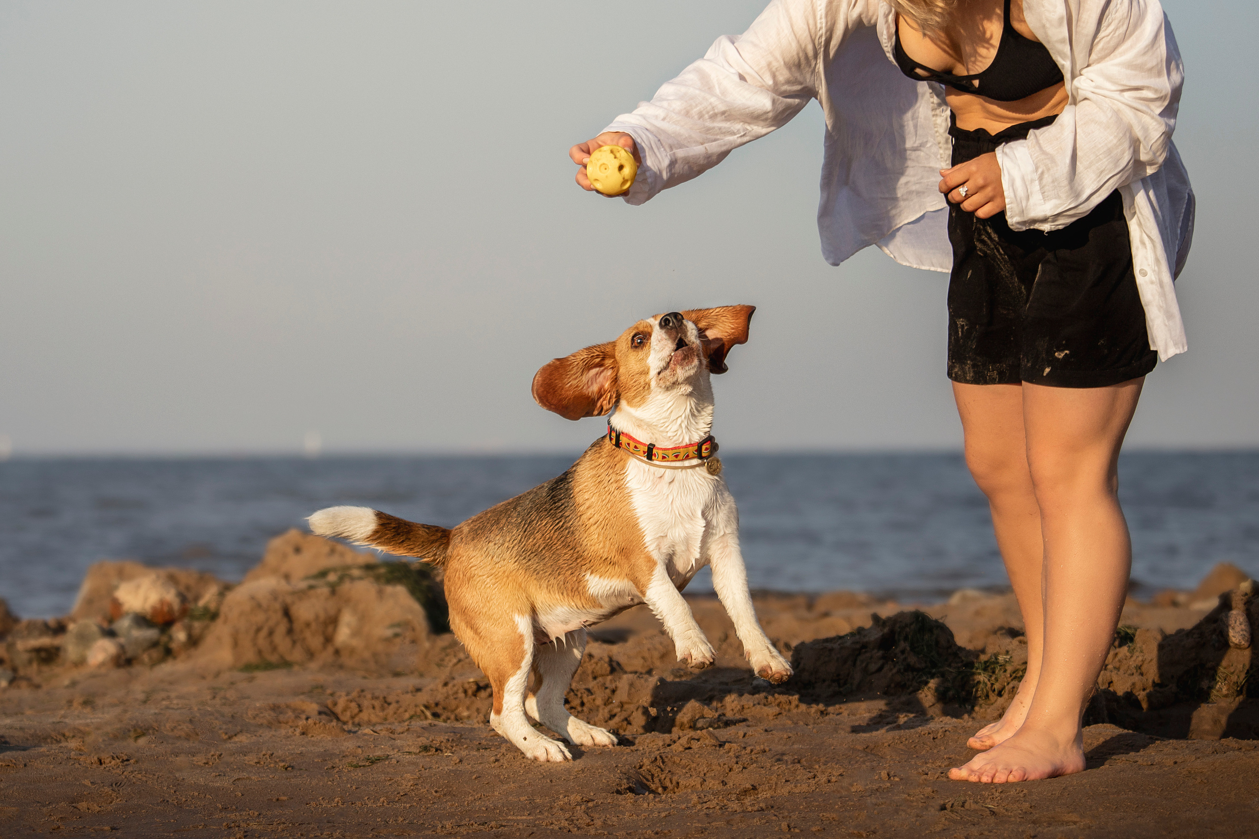 Полина и Бетти. Фотограф — Анималист | Санкт-Петербург