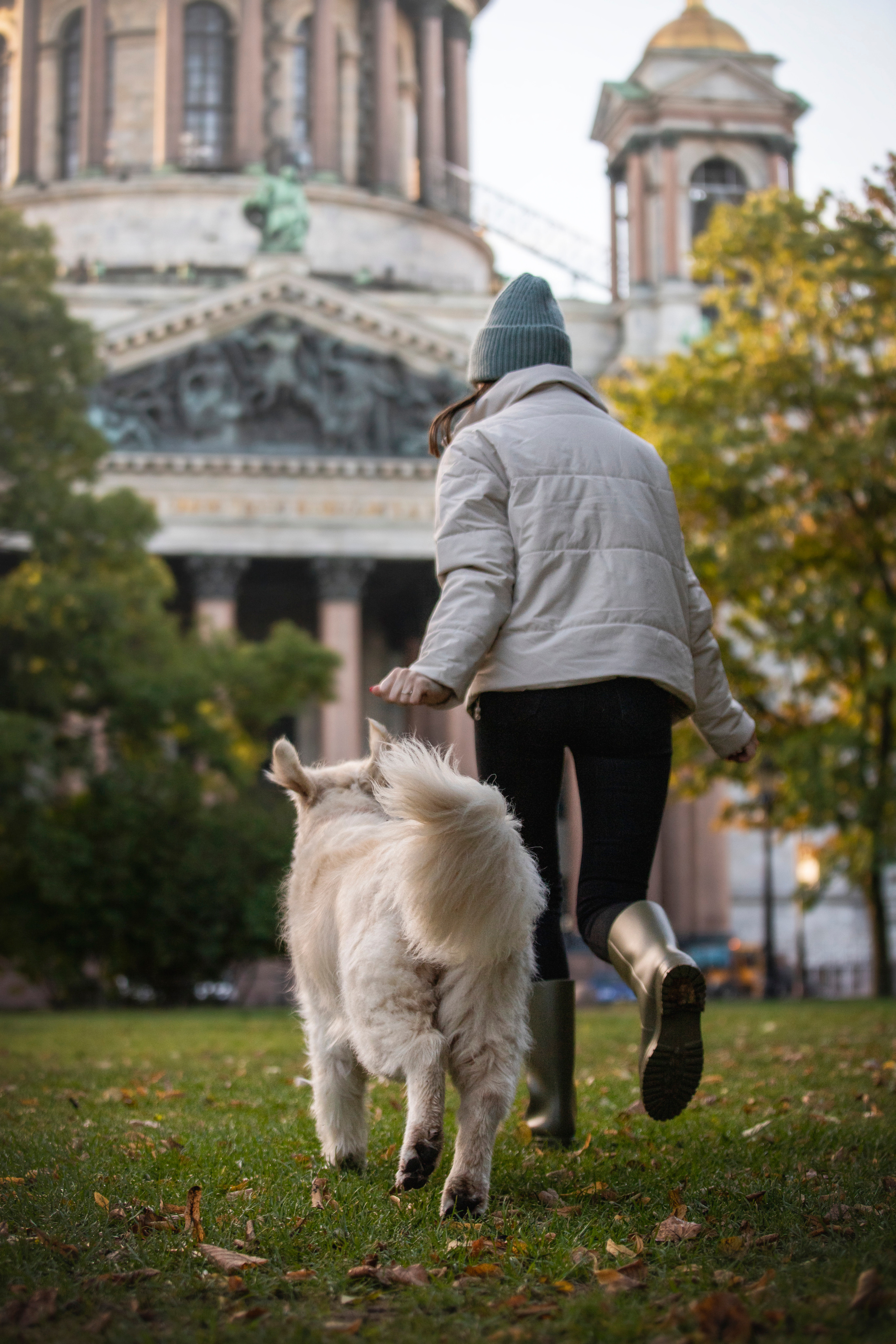 Лана, Тэгра и их семья. Фотограф — Анималист | Санкт-Петербург