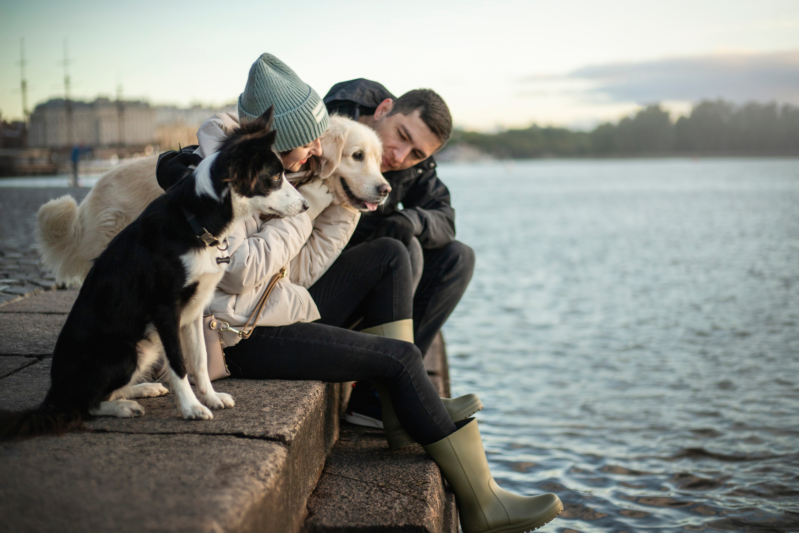 Лана, Тэгра и их семья. Фотограф — Анималист | Санкт-Петербург