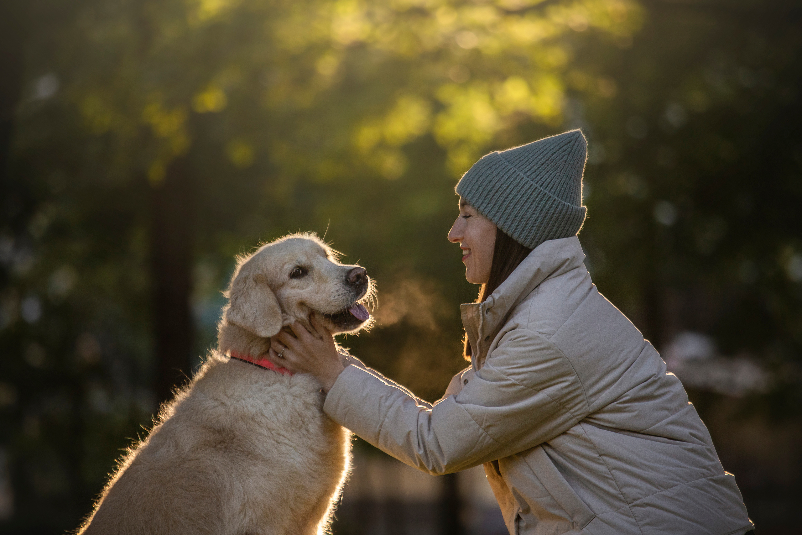 Лана, Тэгра и их семья. Фотограф — Анималист | Санкт-Петербург