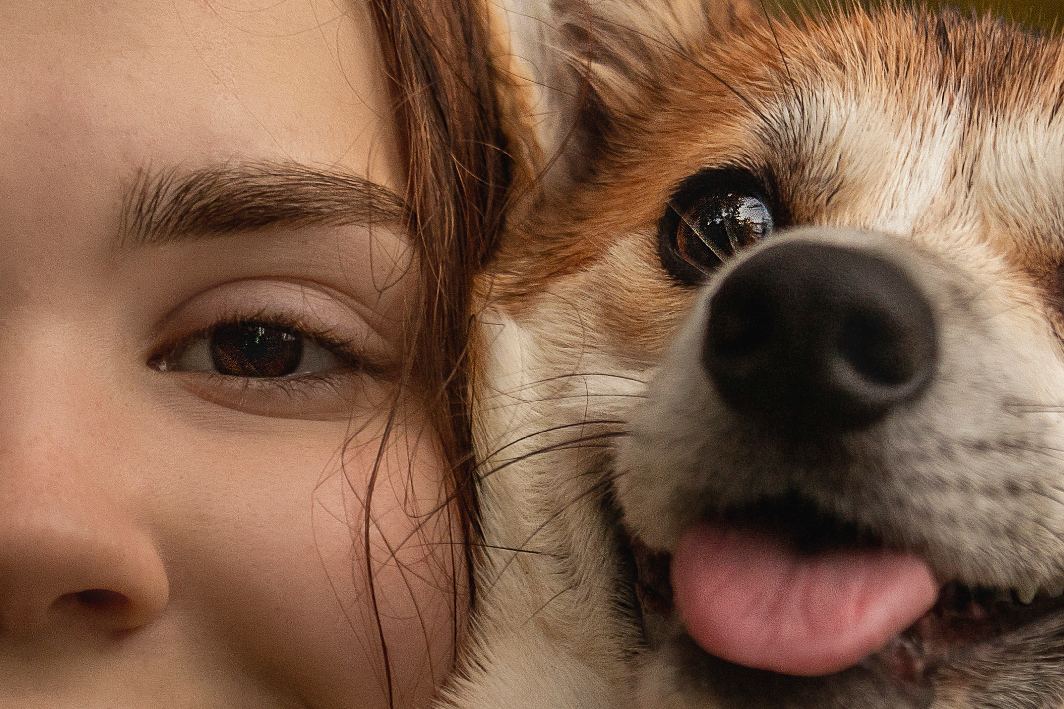 Оля и Оливка. Фотограф — Анималист | Санкт-Петербург