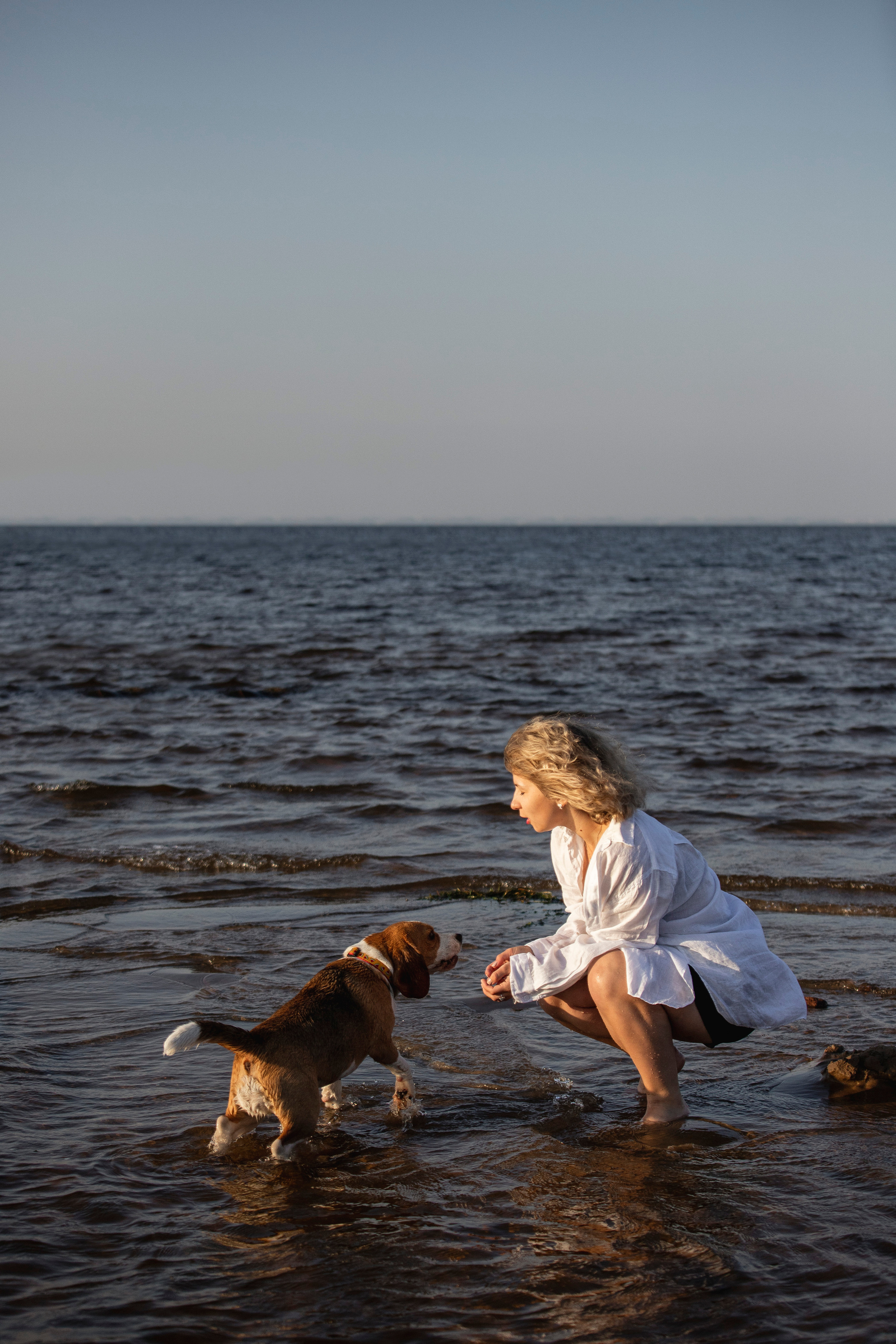 Полина и Бетти. Фотограф — Анималист | Санкт-Петербург