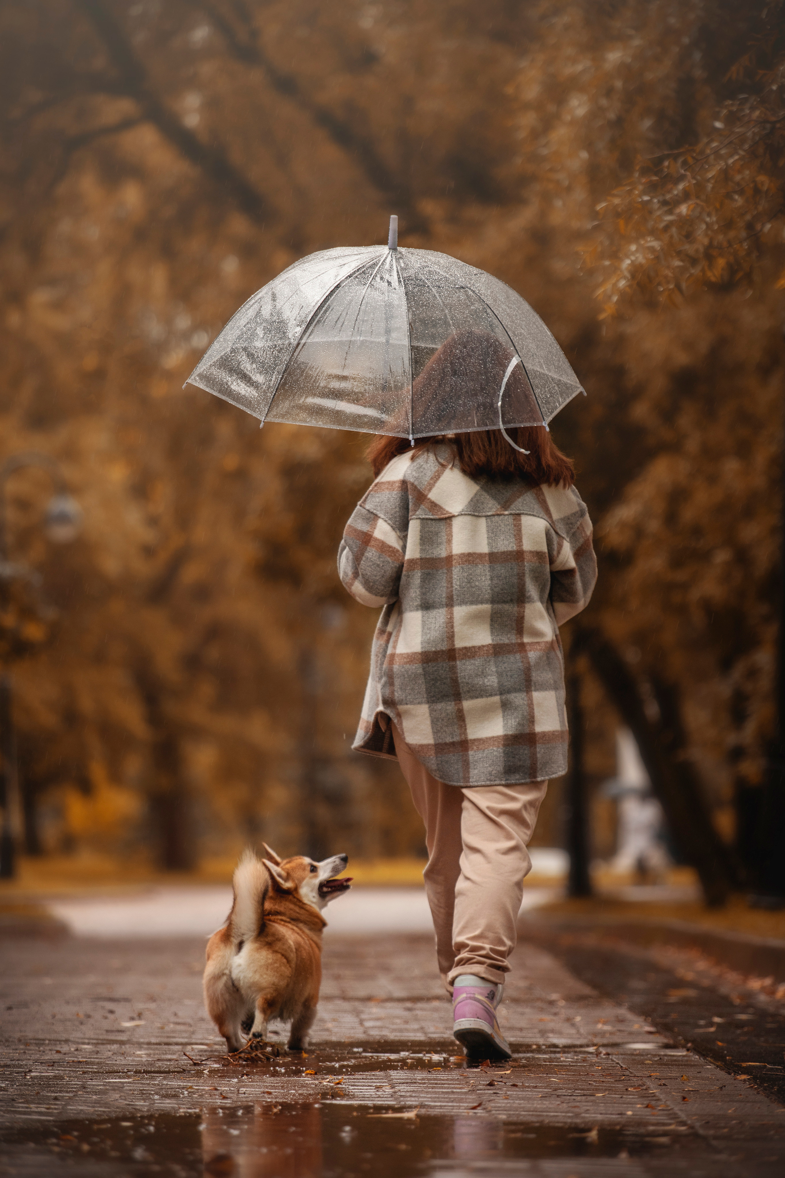 Оля и Оливка. Фотограф — Анималист | Санкт-Петербург