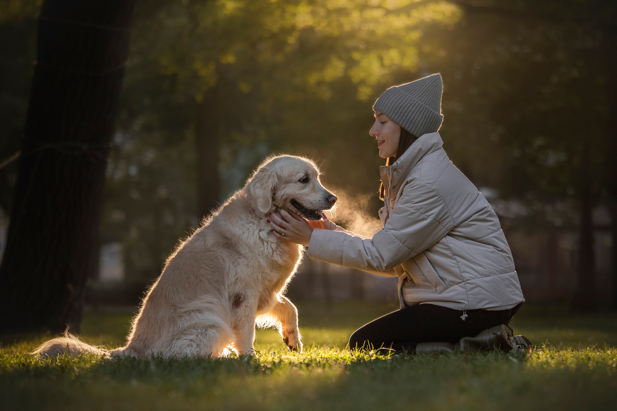Лана, Тэгра и их семья. Фотограф — Анималист | Санкт-Петербург