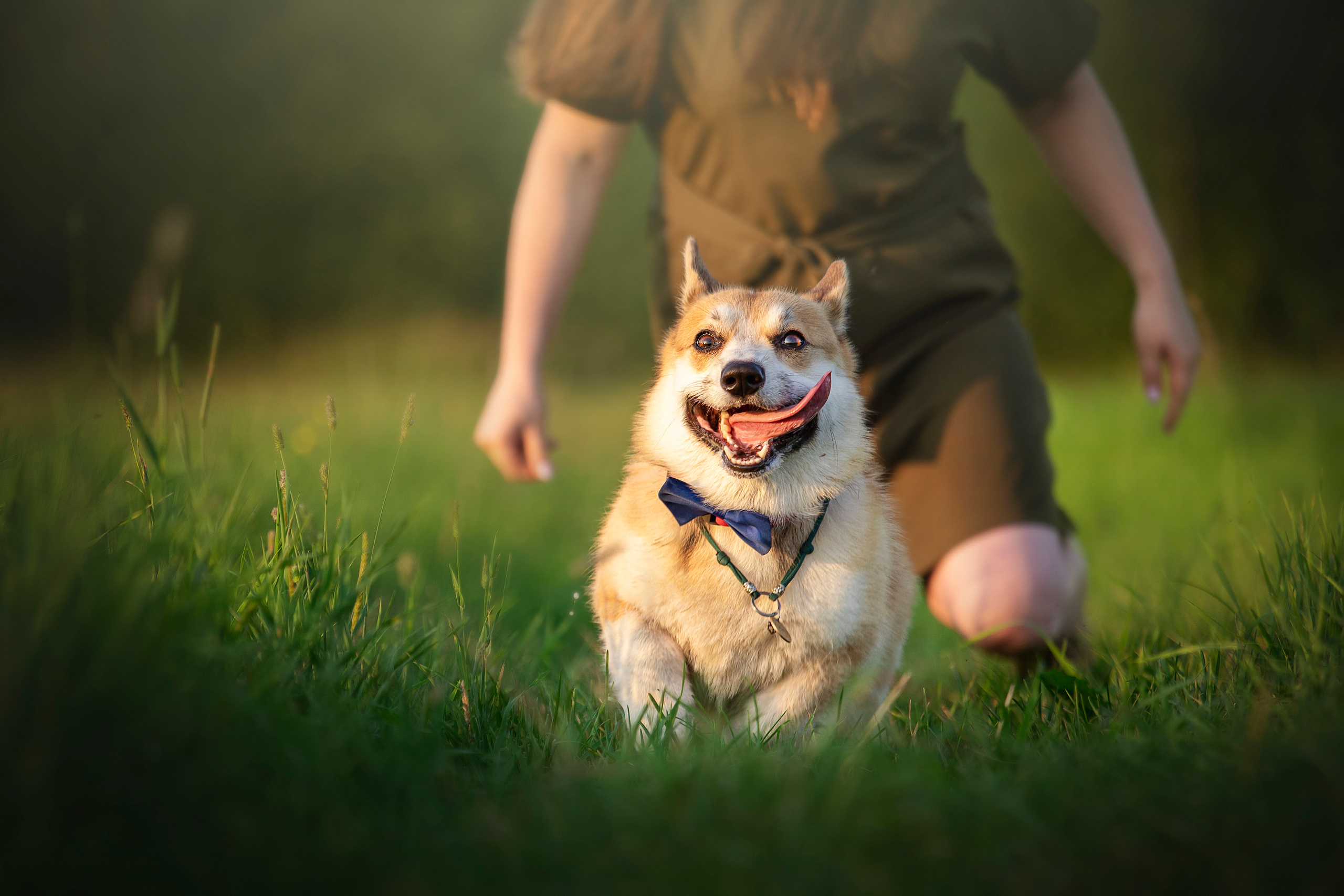 Катя и Азазель. Фотограф — Анималист | Санкт-Петербург
