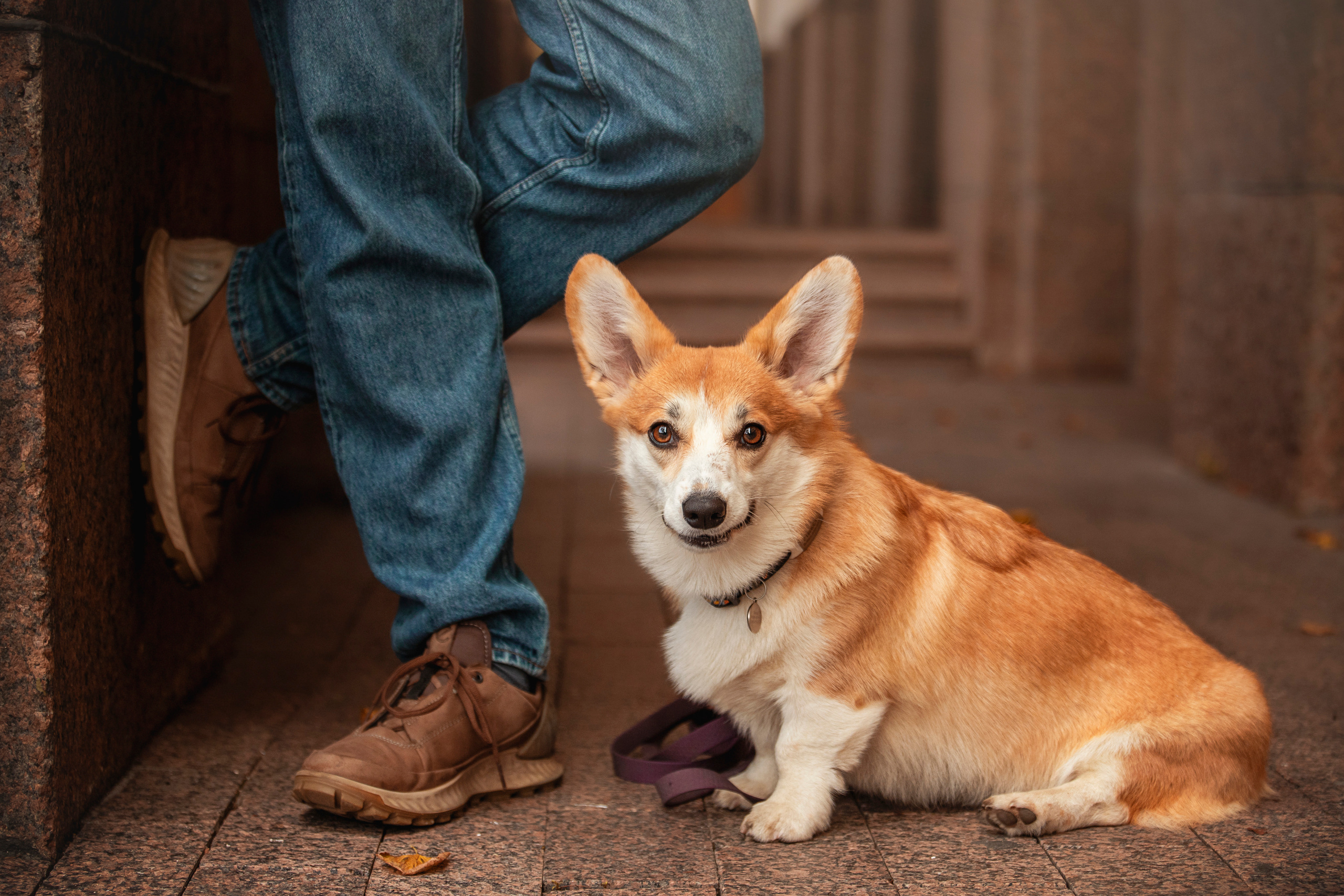Егор и Никси. Фотограф — Анималист | Санкт-Петербург