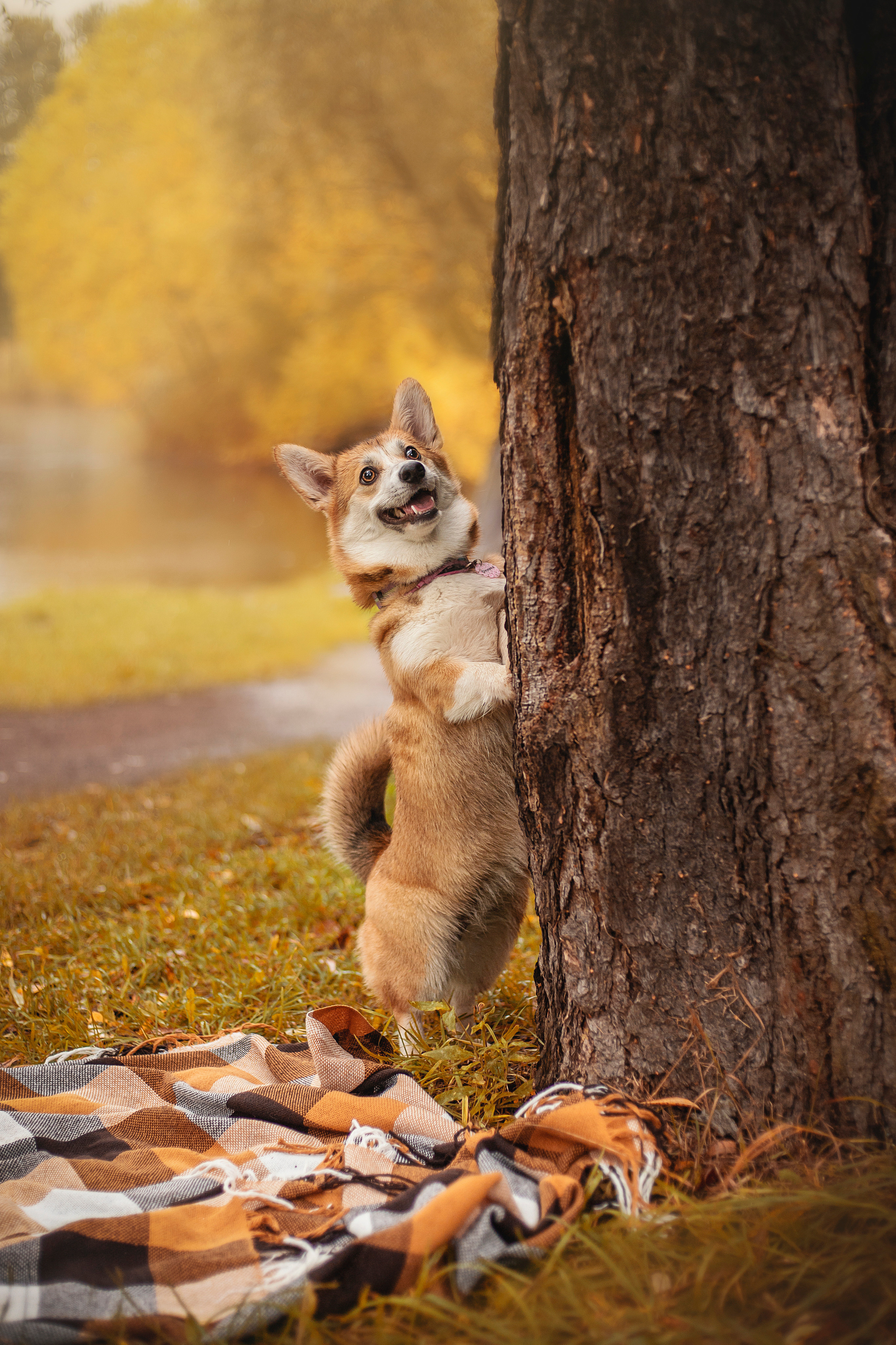 Оля и Оливка. Фотограф — Анималист | Санкт-Петербург