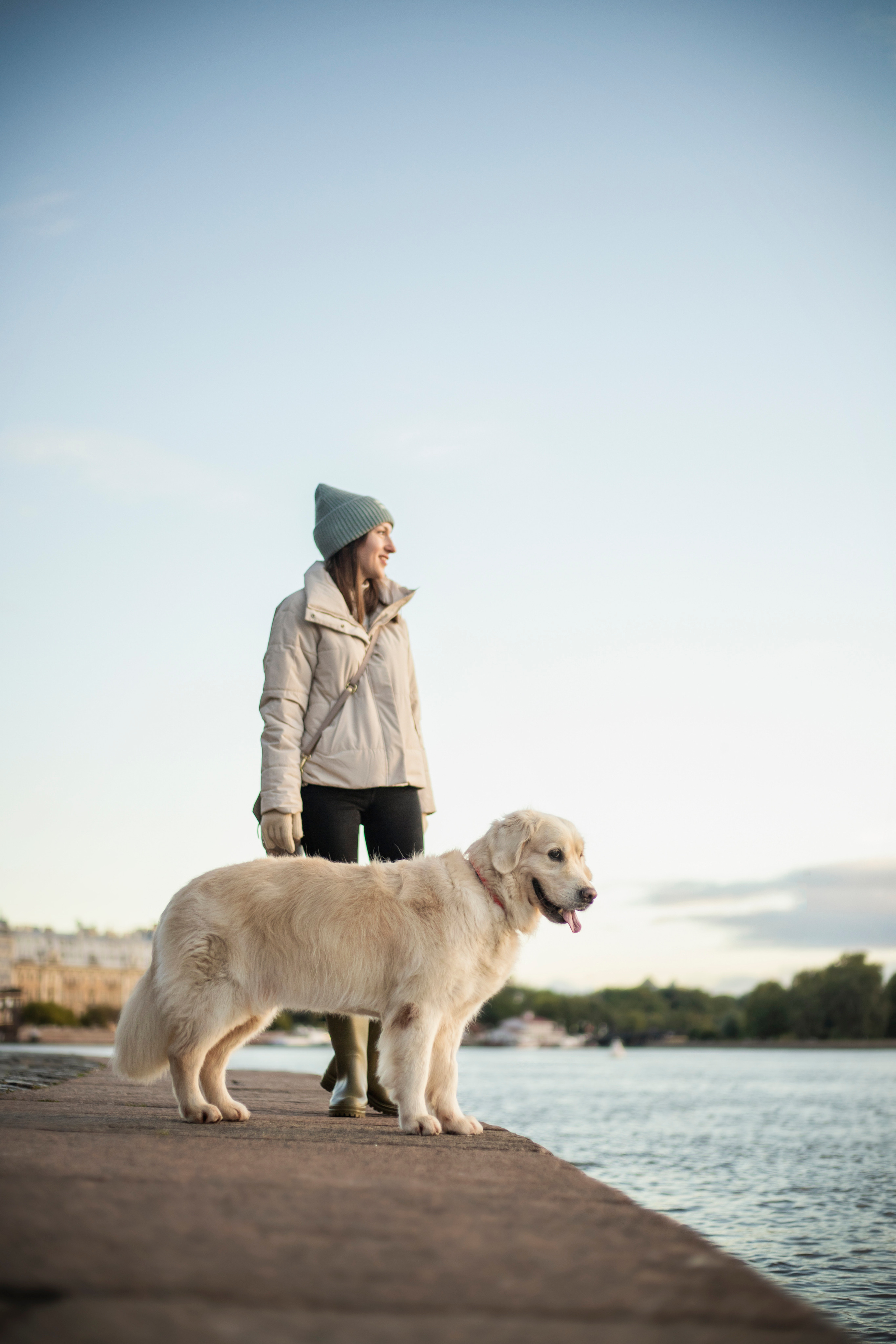 Лана, Тэгра и их семья. Фотограф — Анималист | Санкт-Петербург