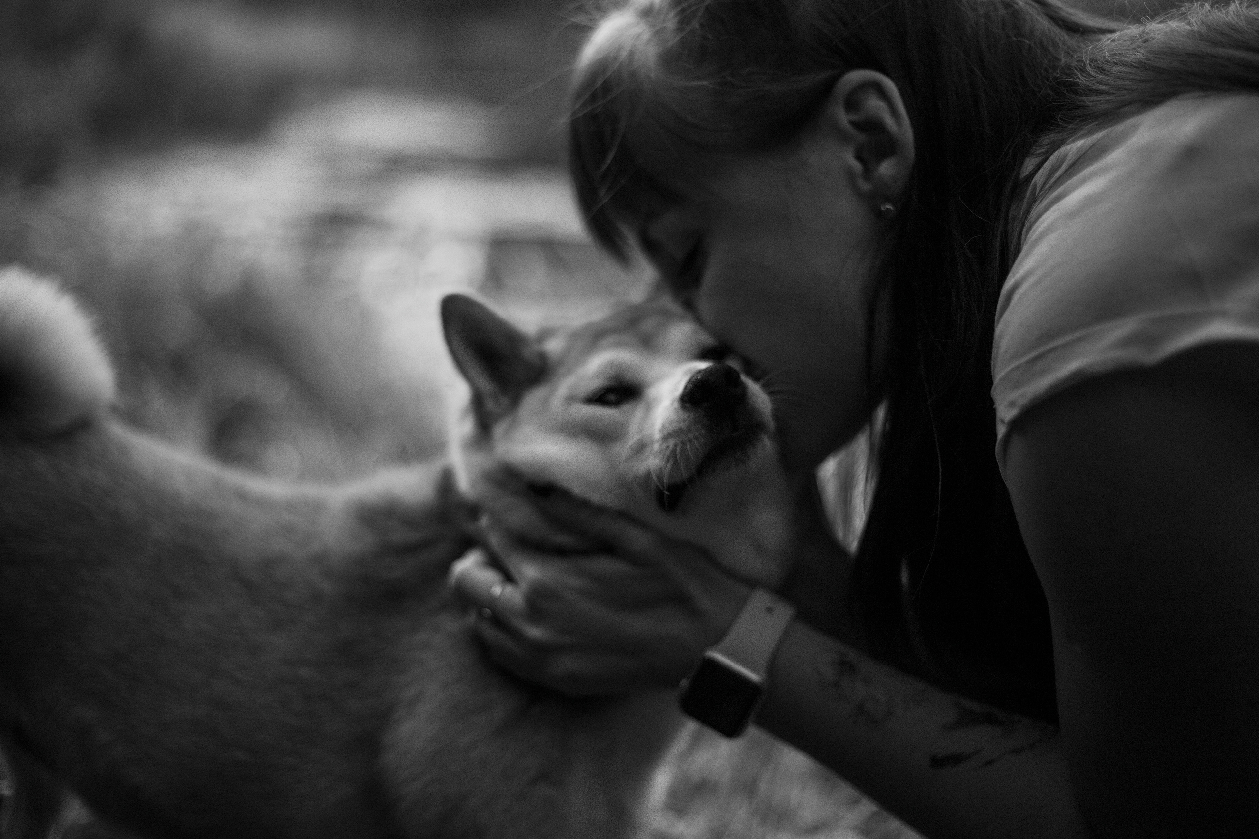 Саша и Айка. Фотограф — Анималист | Санкт-Петербург