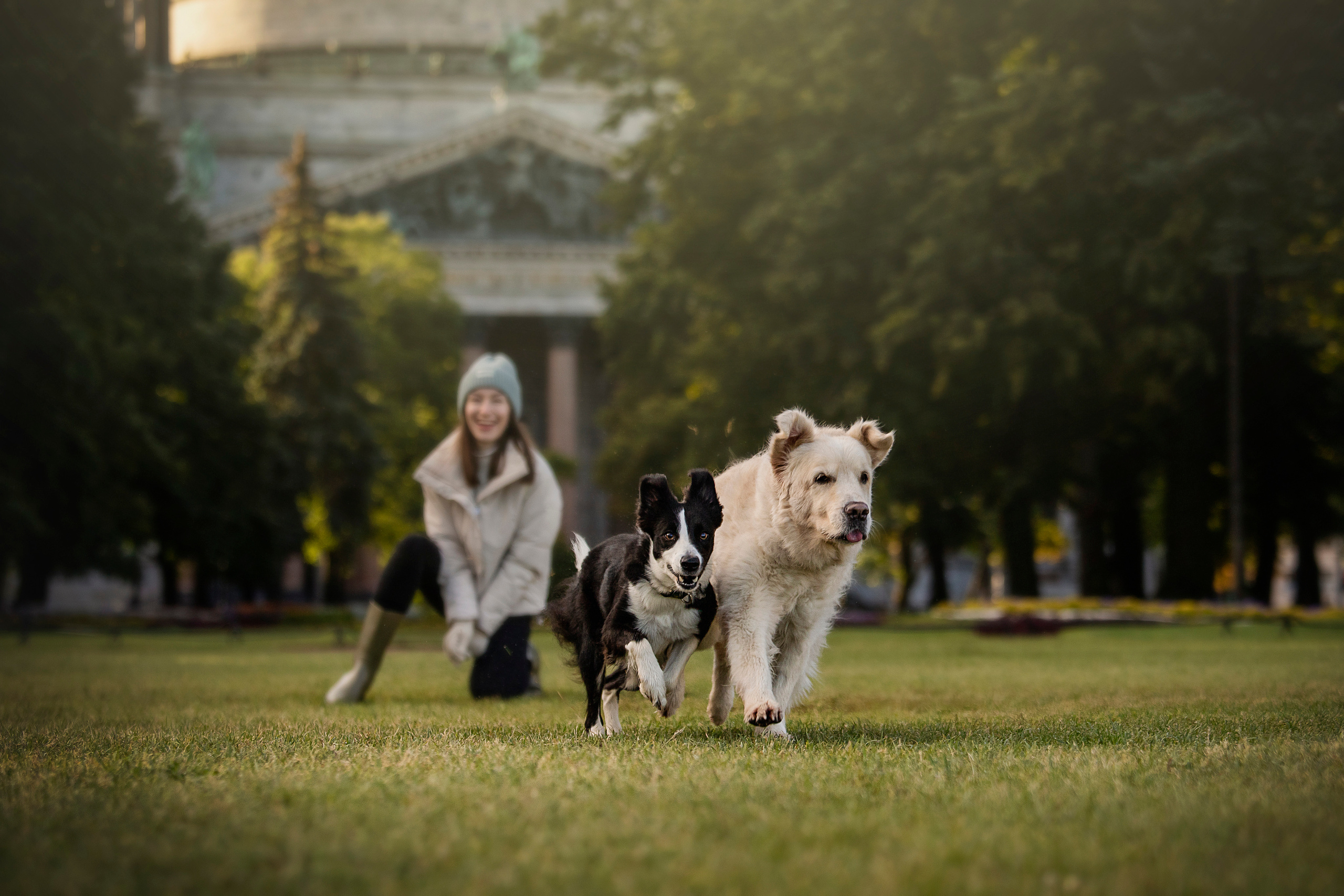 Лана, Тэгра и их семья. Фотограф — Анималист | Санкт-Петербург
