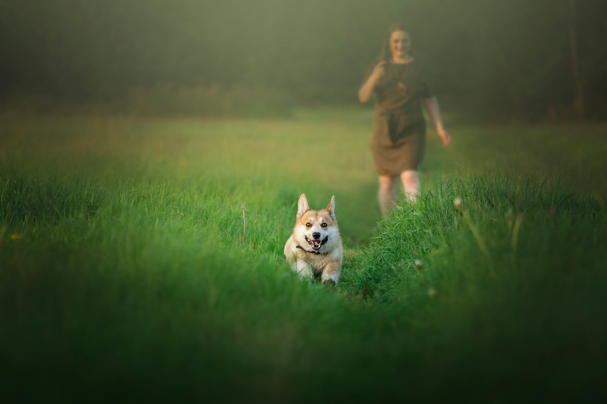 Катя и Азазель. Фотограф — Анималист | Санкт-Петербург