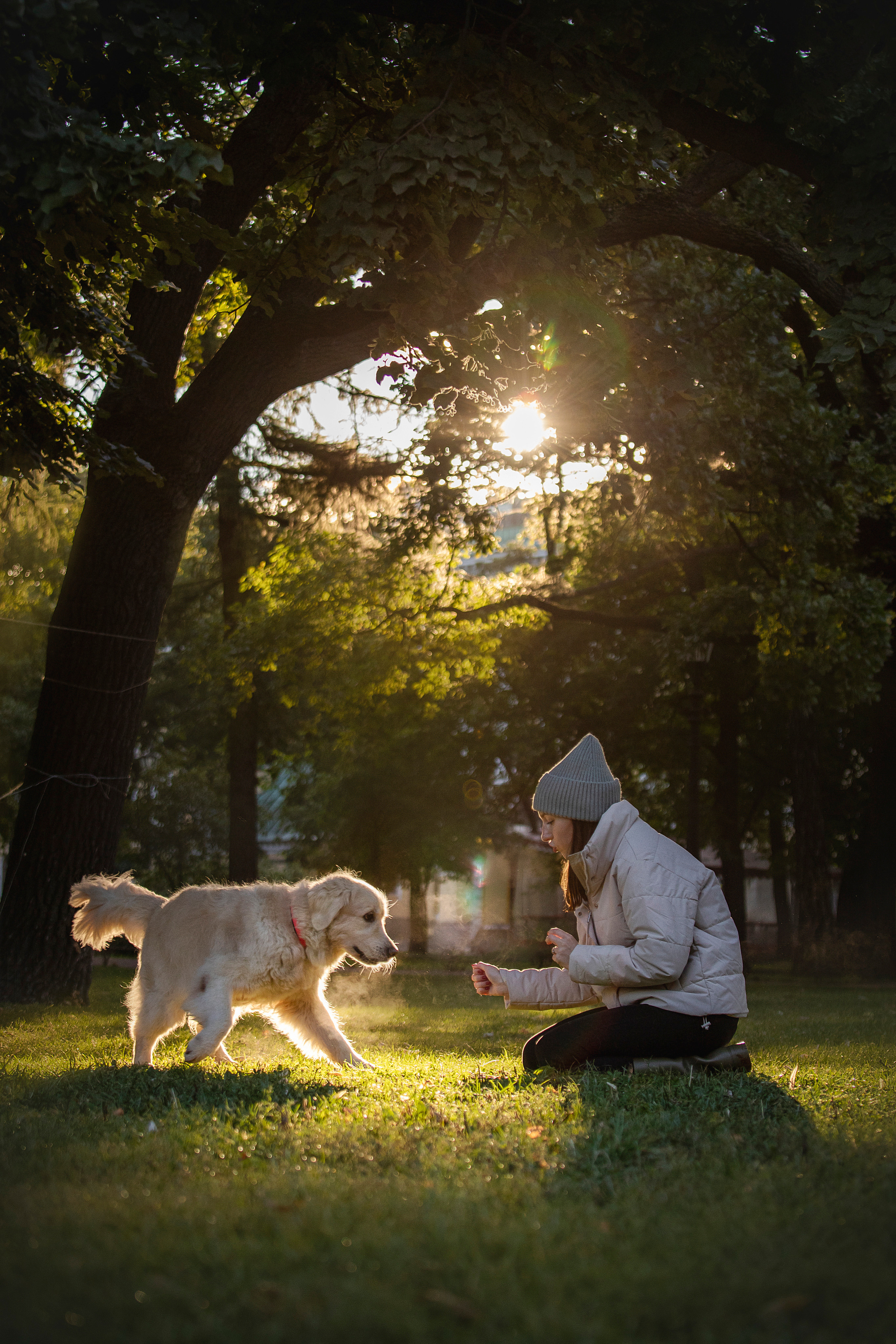 Лана, Тэгра и их семья. Фотограф — Анималист | Санкт-Петербург