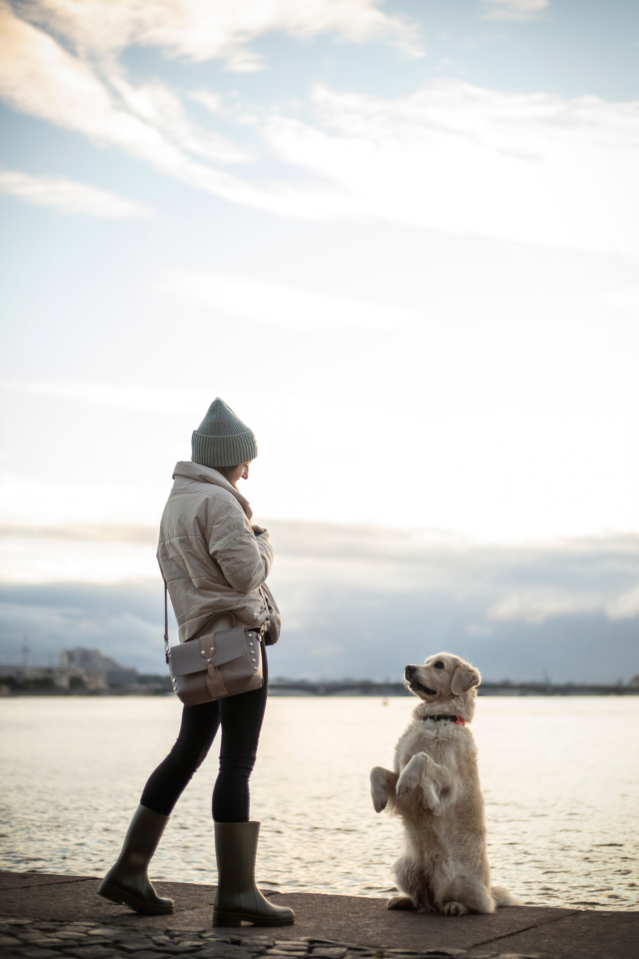 Лана, Тэгра и их семья. Фотограф — Анималист | Санкт-Петербург