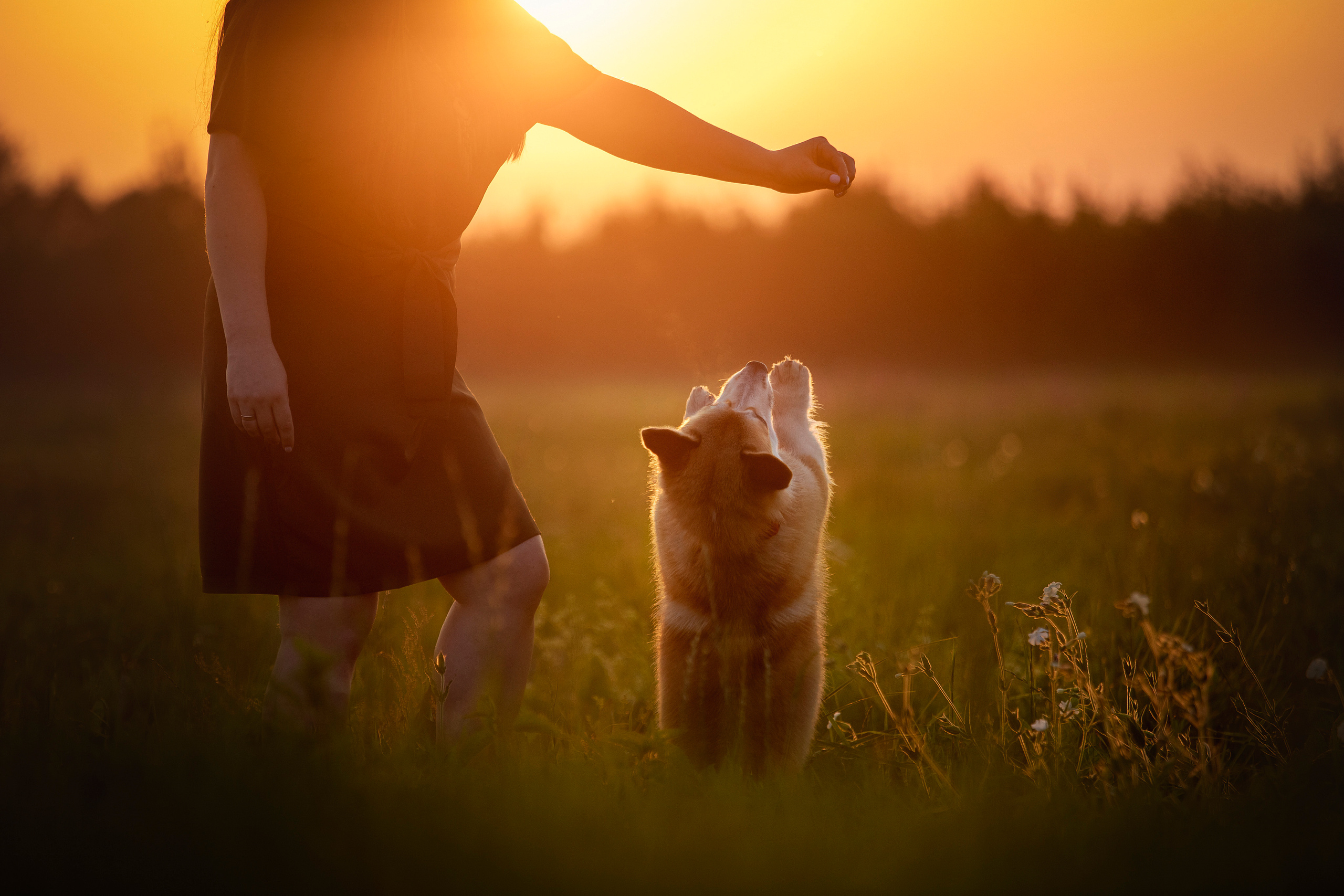Катя и Азазель. Фотограф — Анималист | Санкт-Петербург
