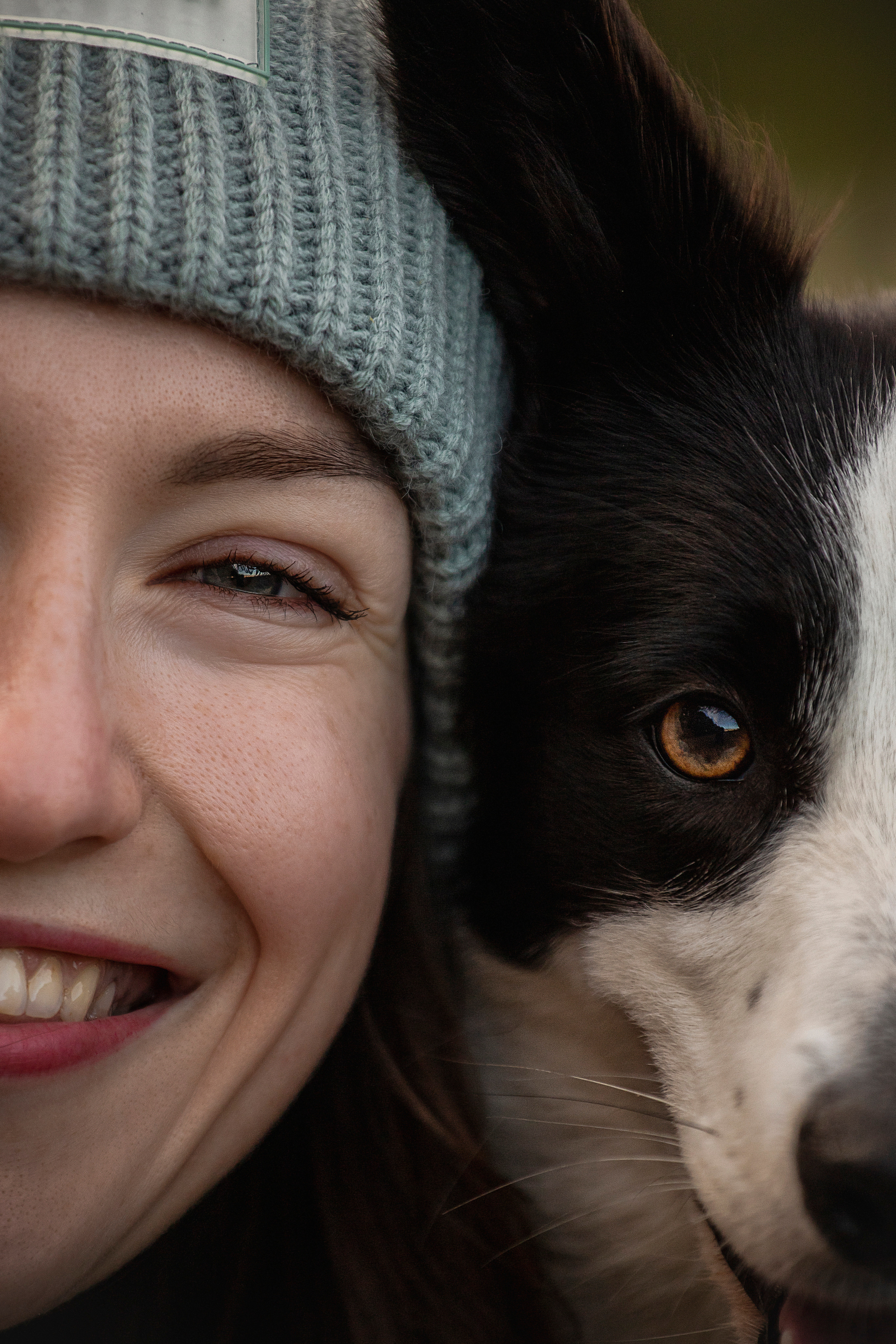 Лана, Тэгра и их семья. Фотограф — Анималист | Санкт-Петербург