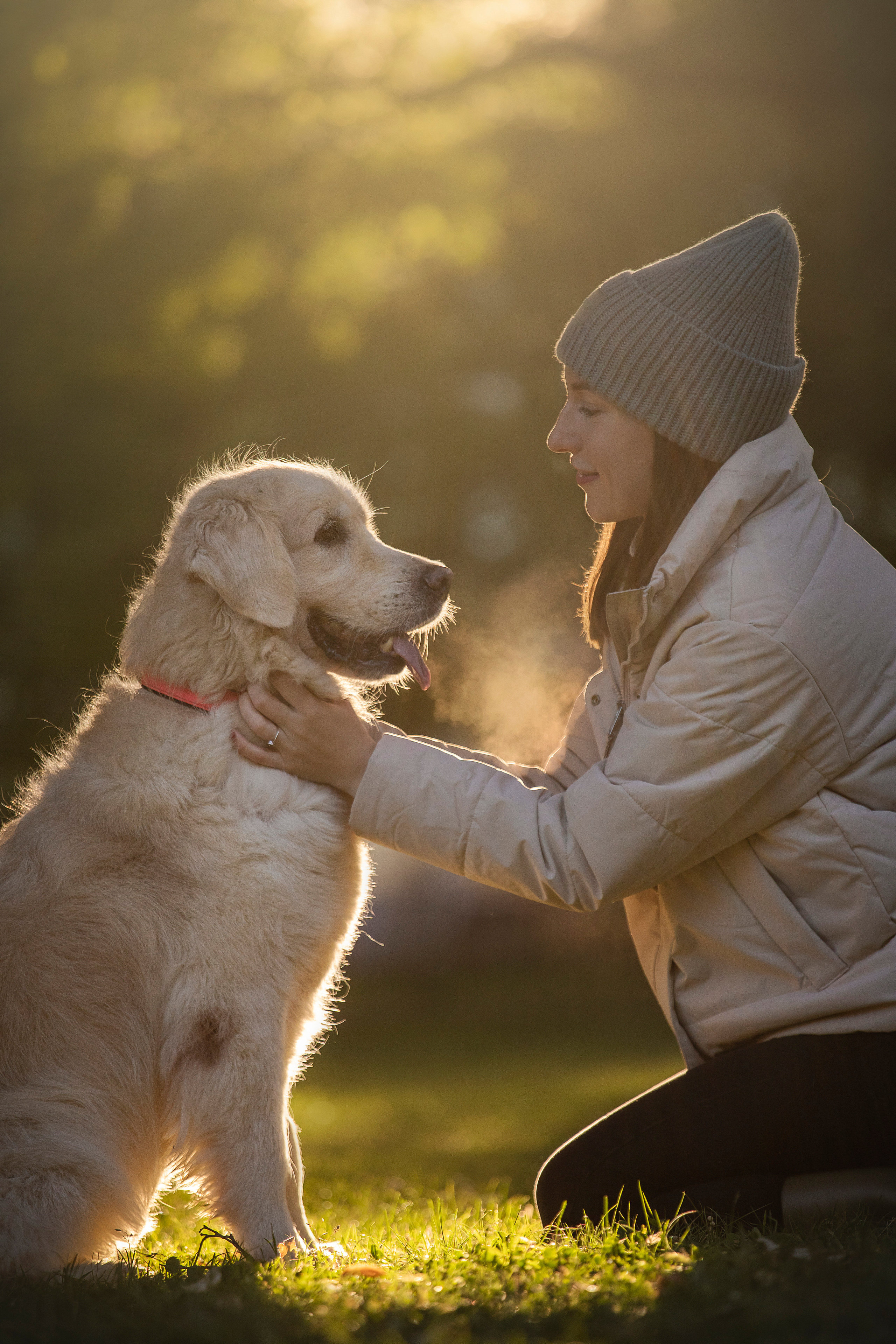 Лана, Тэгра и их семья. Фотограф — Анималист | Санкт-Петербург