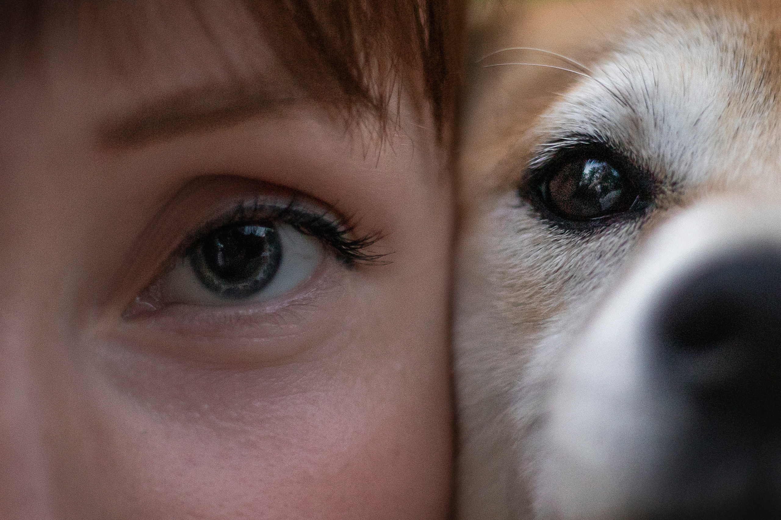 Саша и Айка. Фотограф — Анималист | Санкт-Петербург