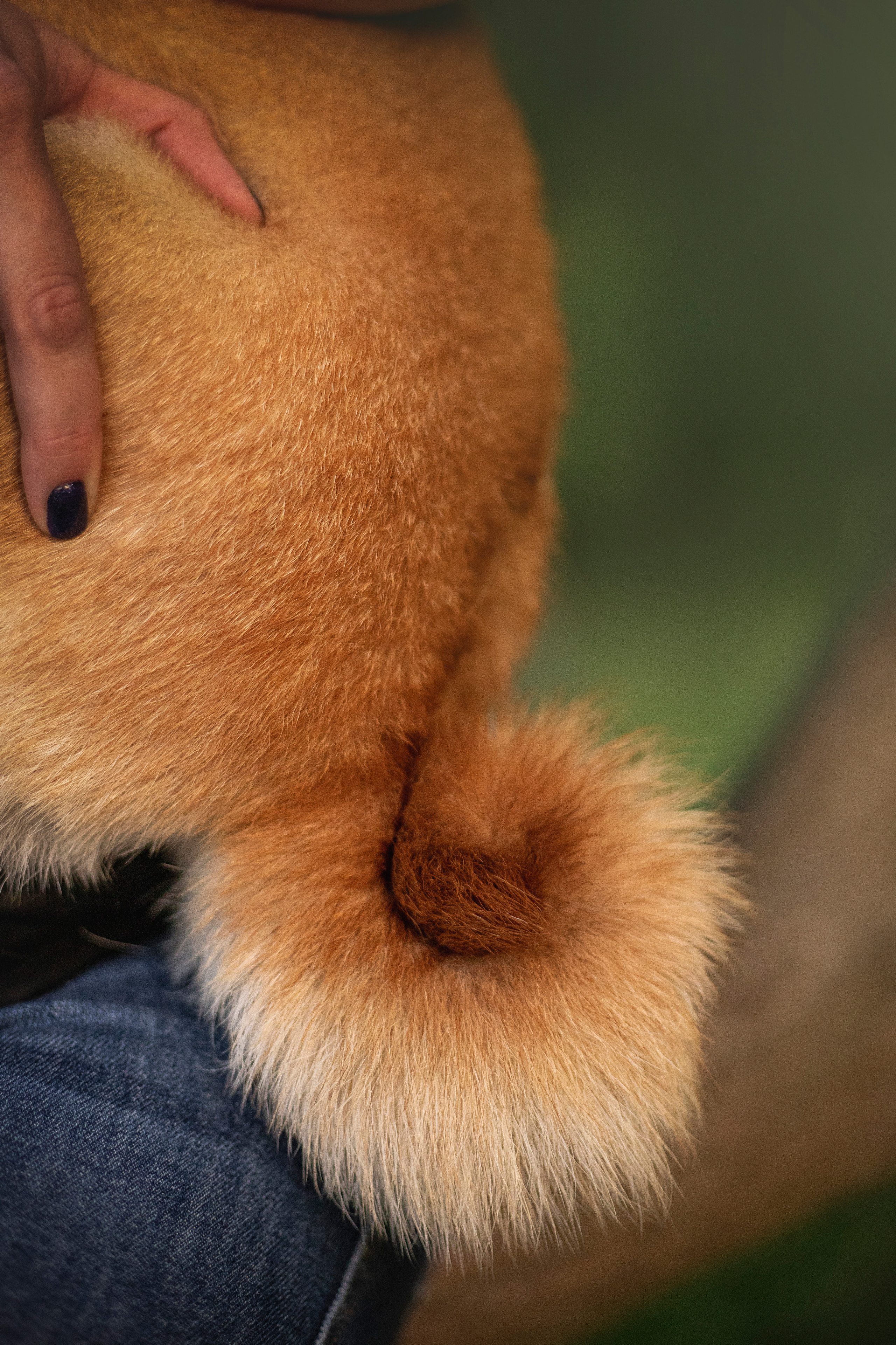 Саша и Айка. Фотограф — Анималист | Санкт-Петербург