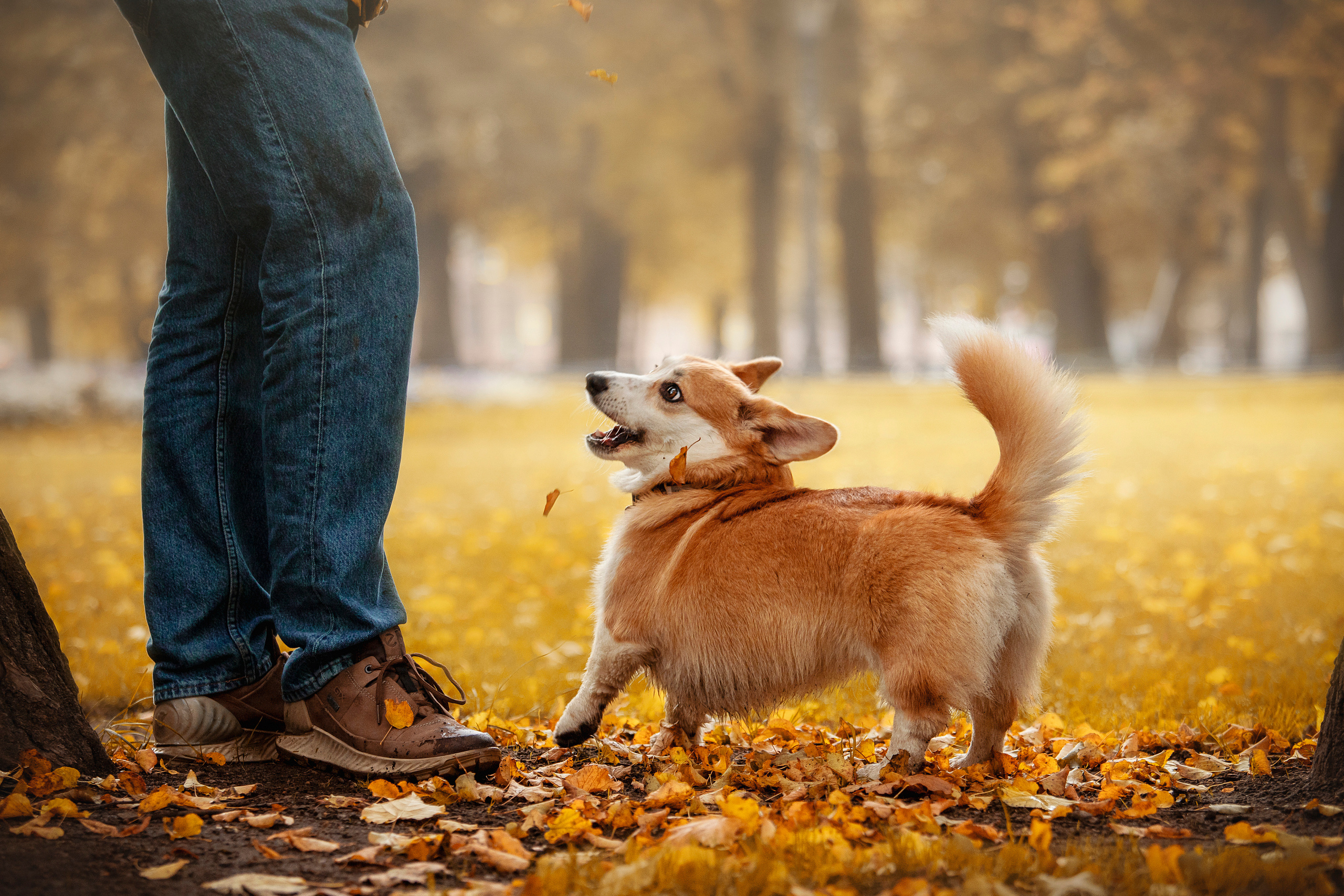Егор и Никси. Фотограф — Анималист | Санкт-Петербург