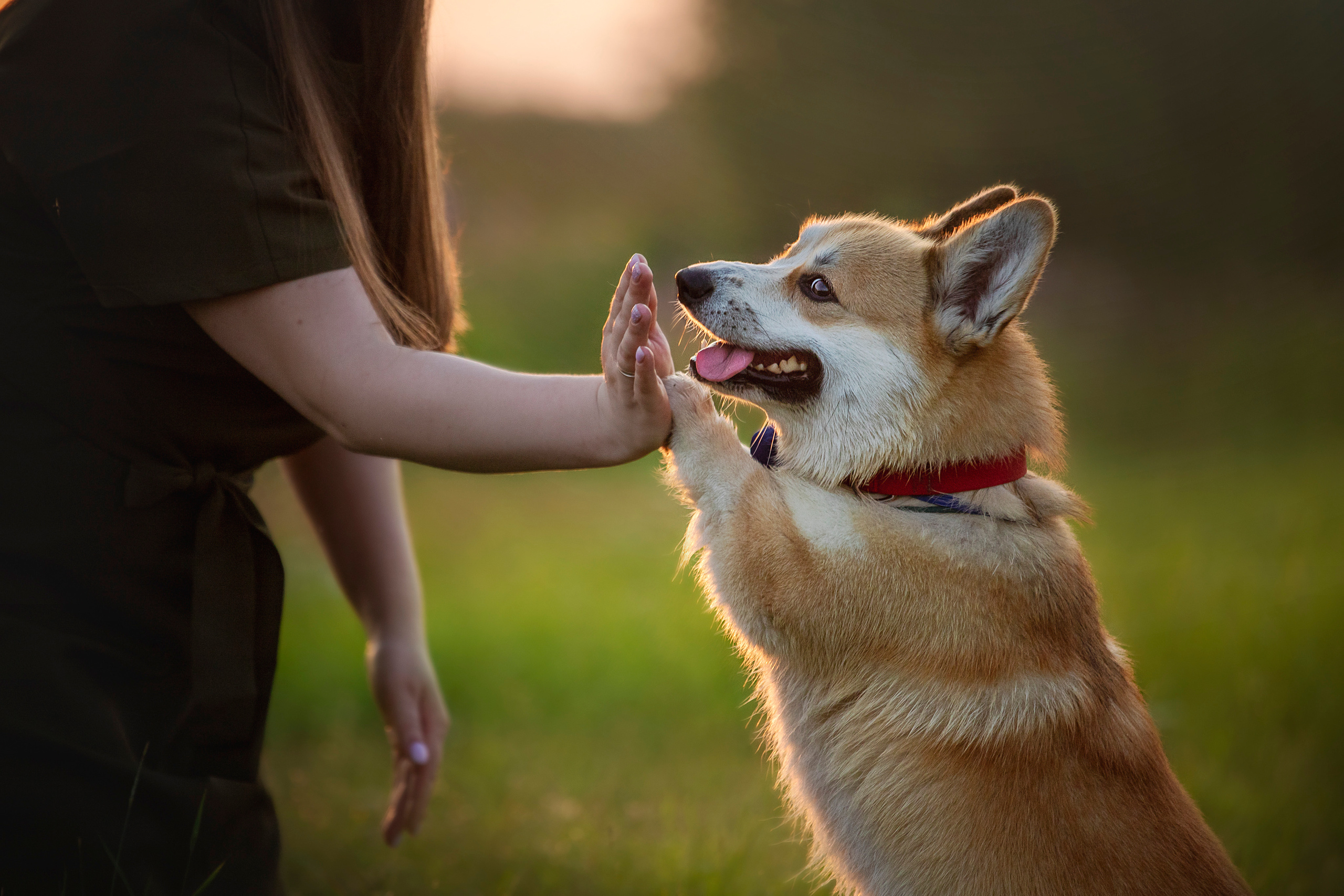 Катя и Азазель. Фотограф — Анималист | Санкт-Петербург