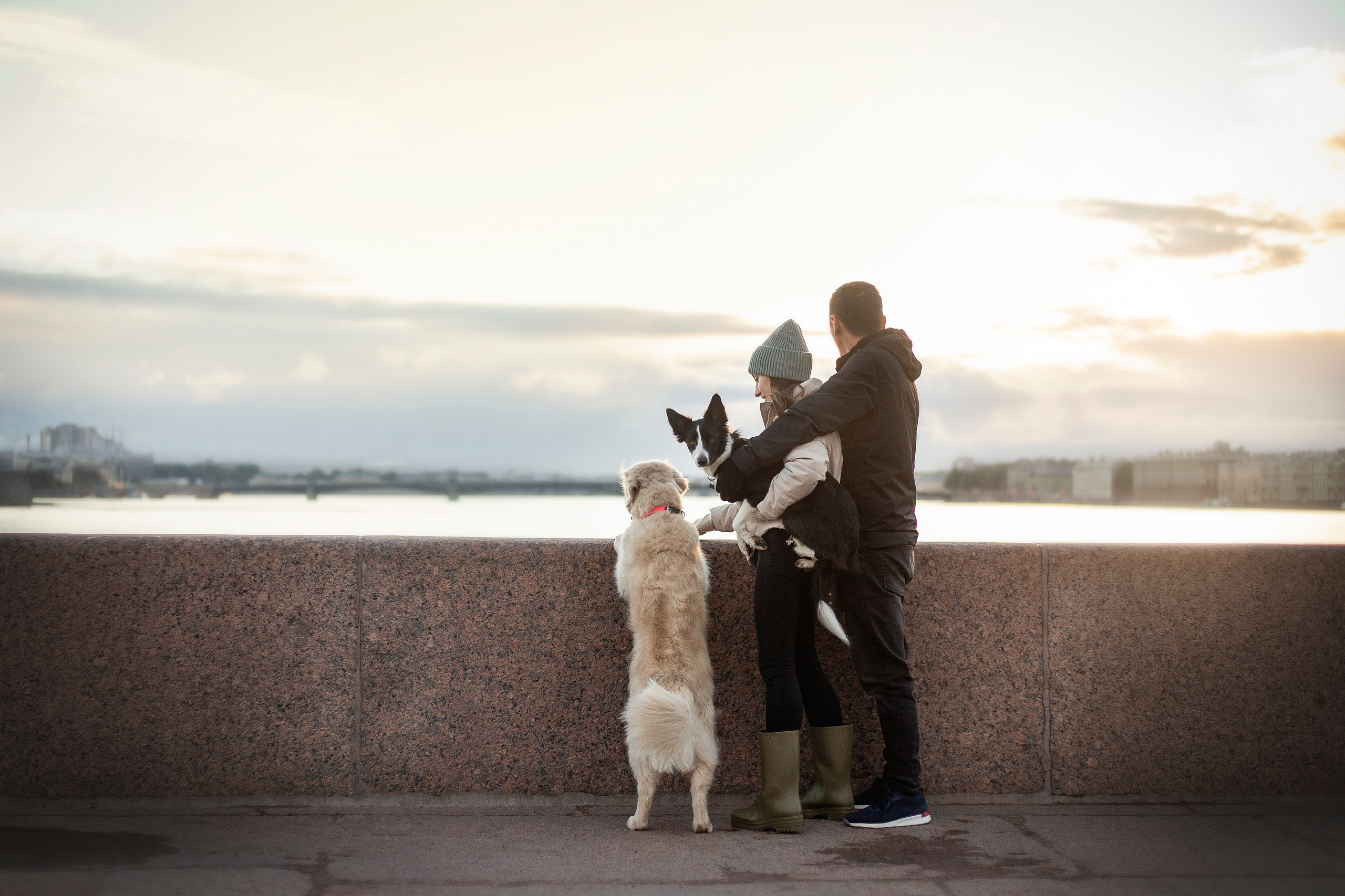 Лана, Тэгра и их семья. Фотограф — Анималист | Санкт-Петербург
