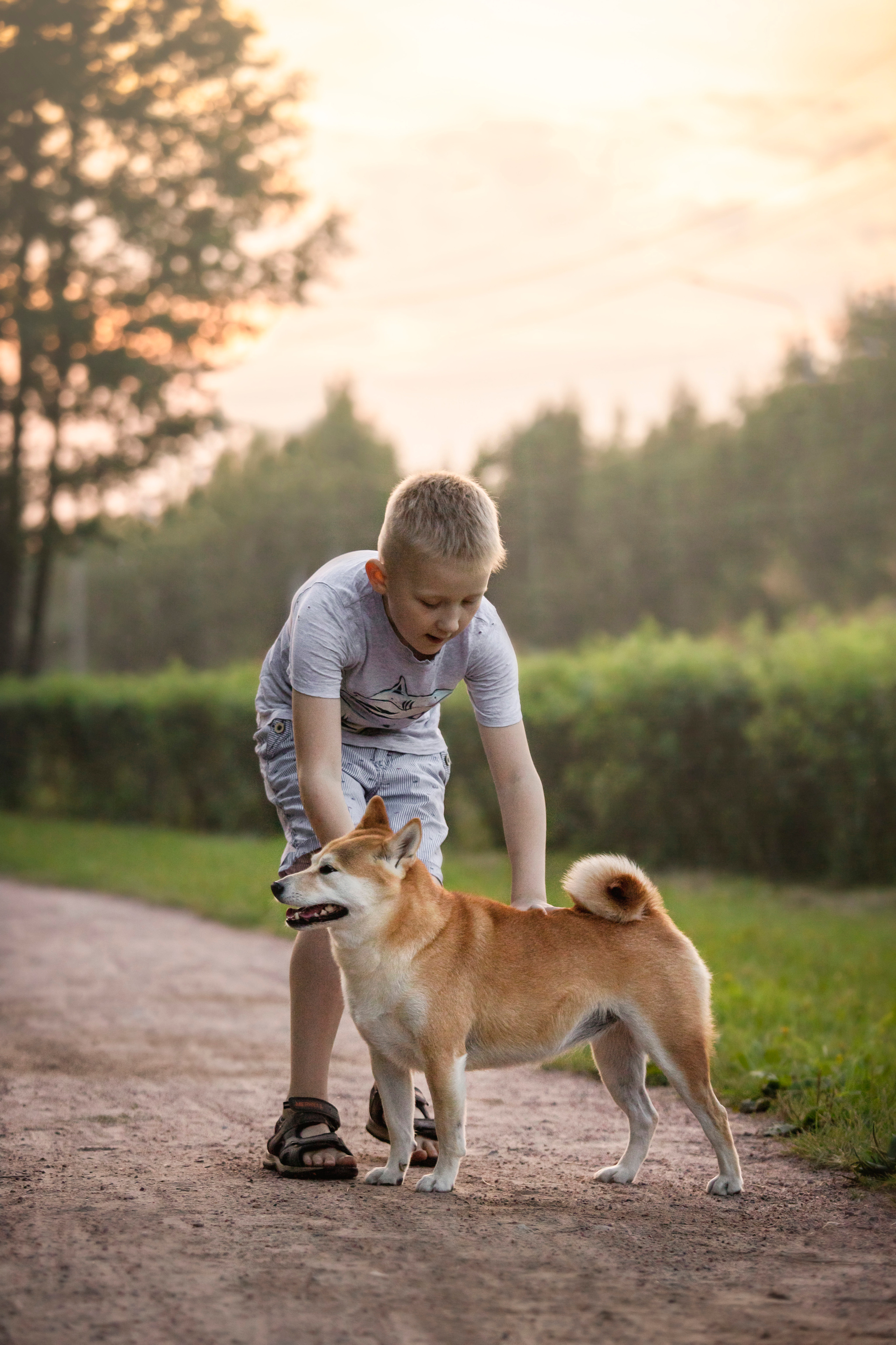 Саша и Айка. Фотограф — Анималист | Санкт-Петербург