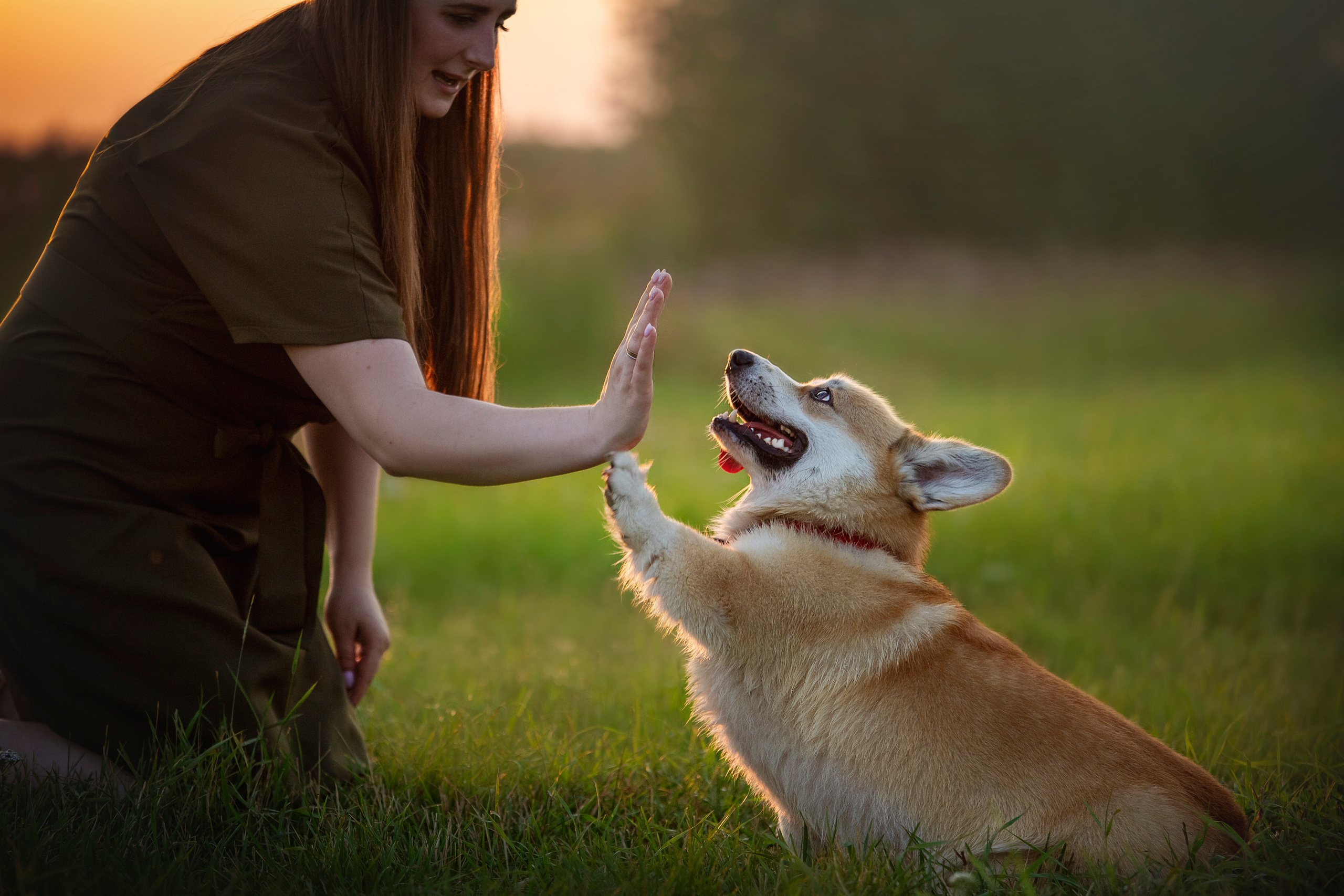 Катя и Азазель. Фотограф — Анималист | Санкт-Петербург