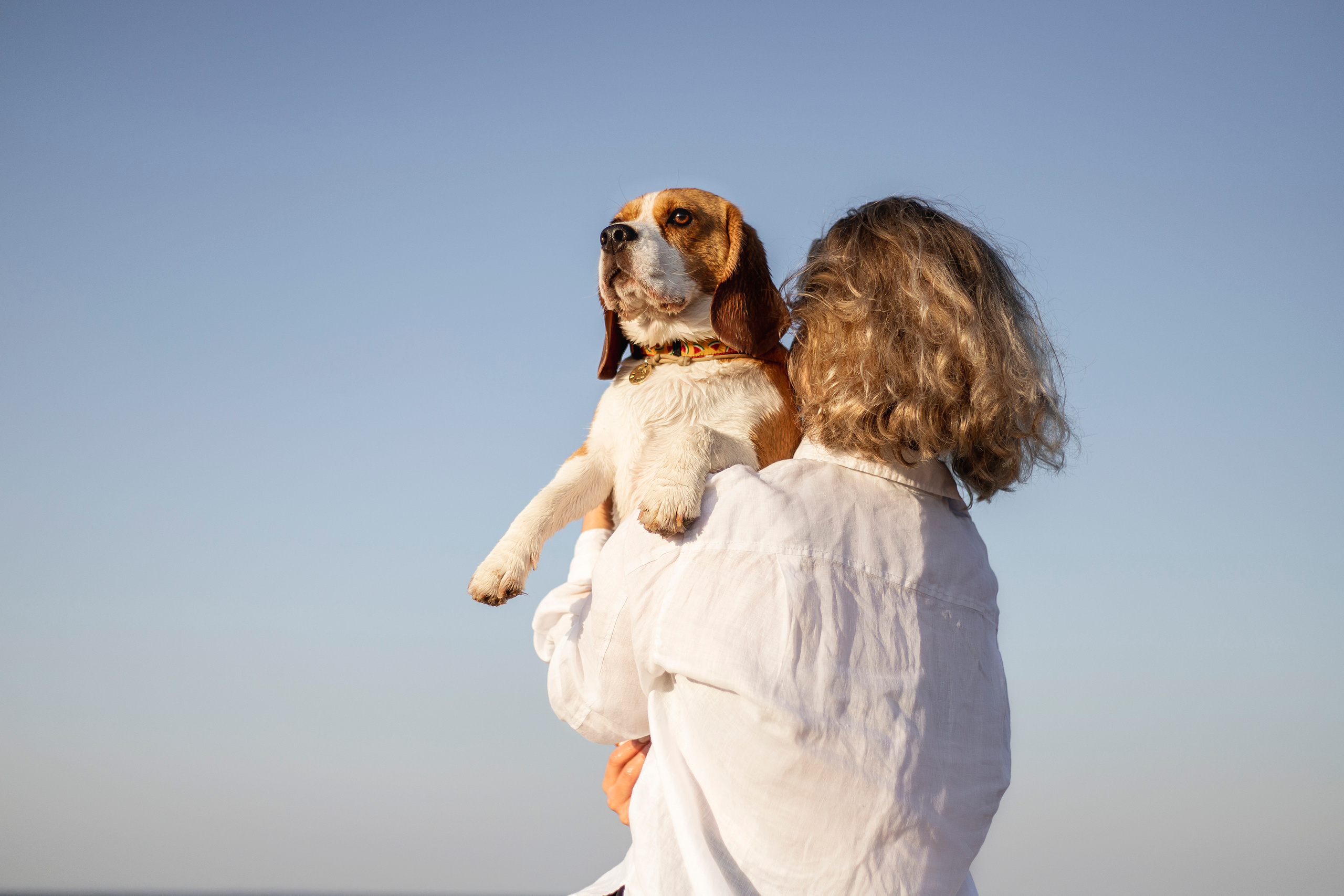 Полина и Бетти. Фотограф — Анималист | Санкт-Петербург